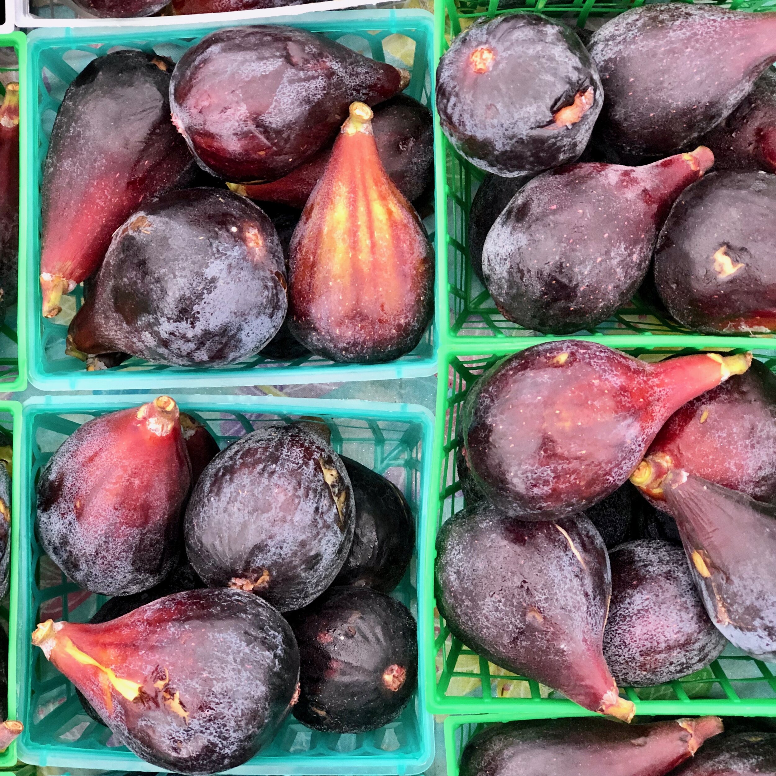 Why Fresh Figs Are So Good – Delicious — Consciously Kosher