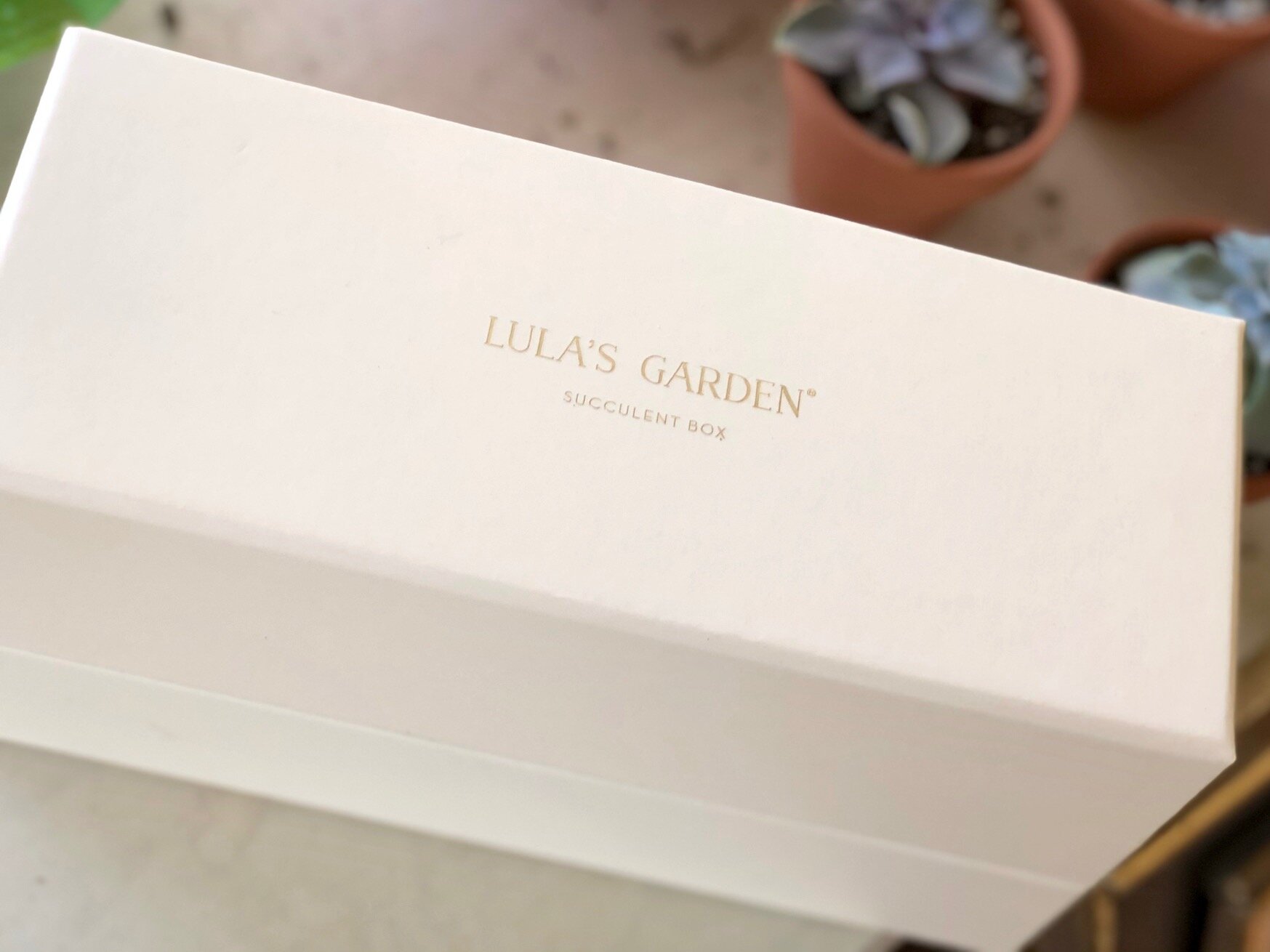 Lula's Garden Planter Box