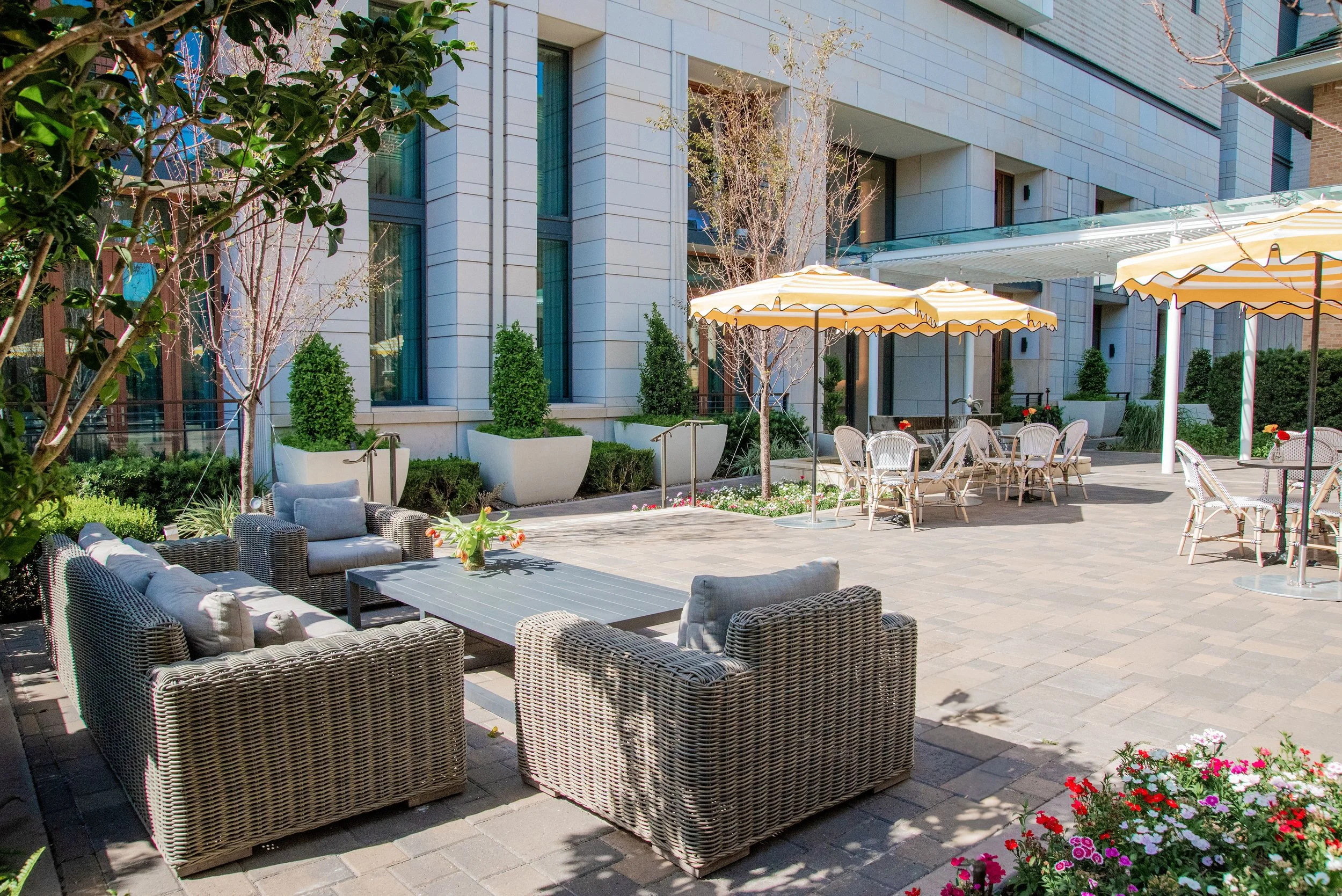 Offers — la Colombe d'Or - A luxury boutique hotel in Houston, TX