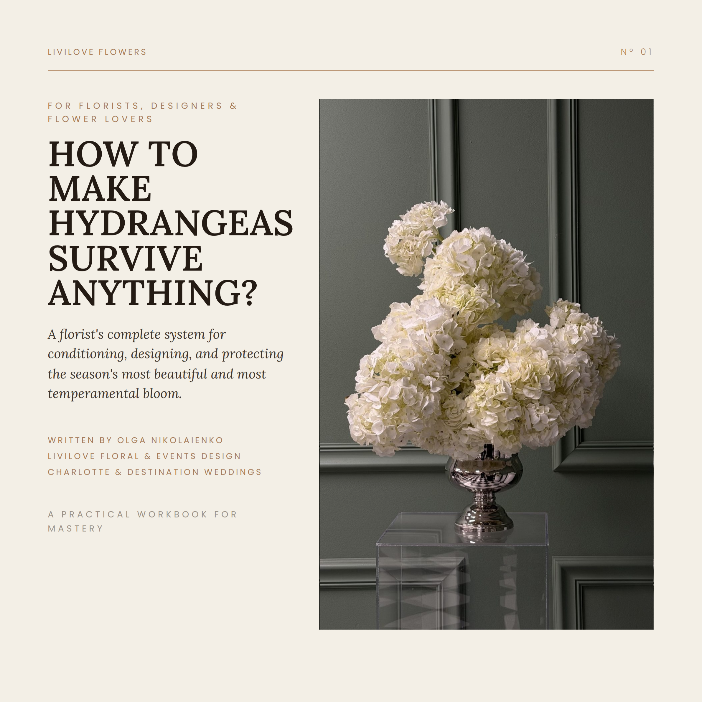 The hydrangea survival guide