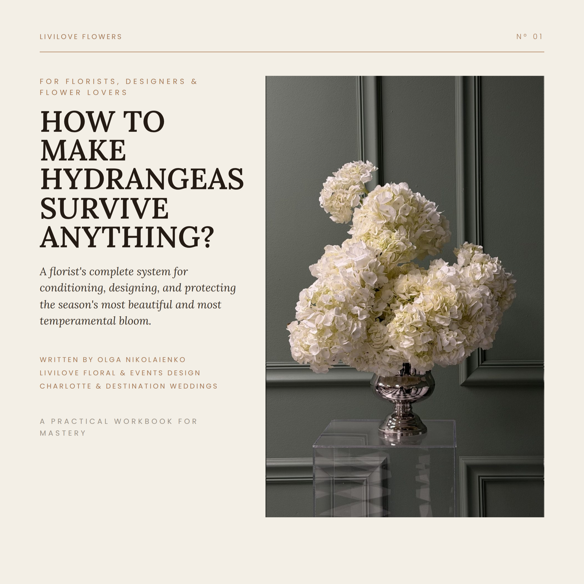 guide-cover-page.png