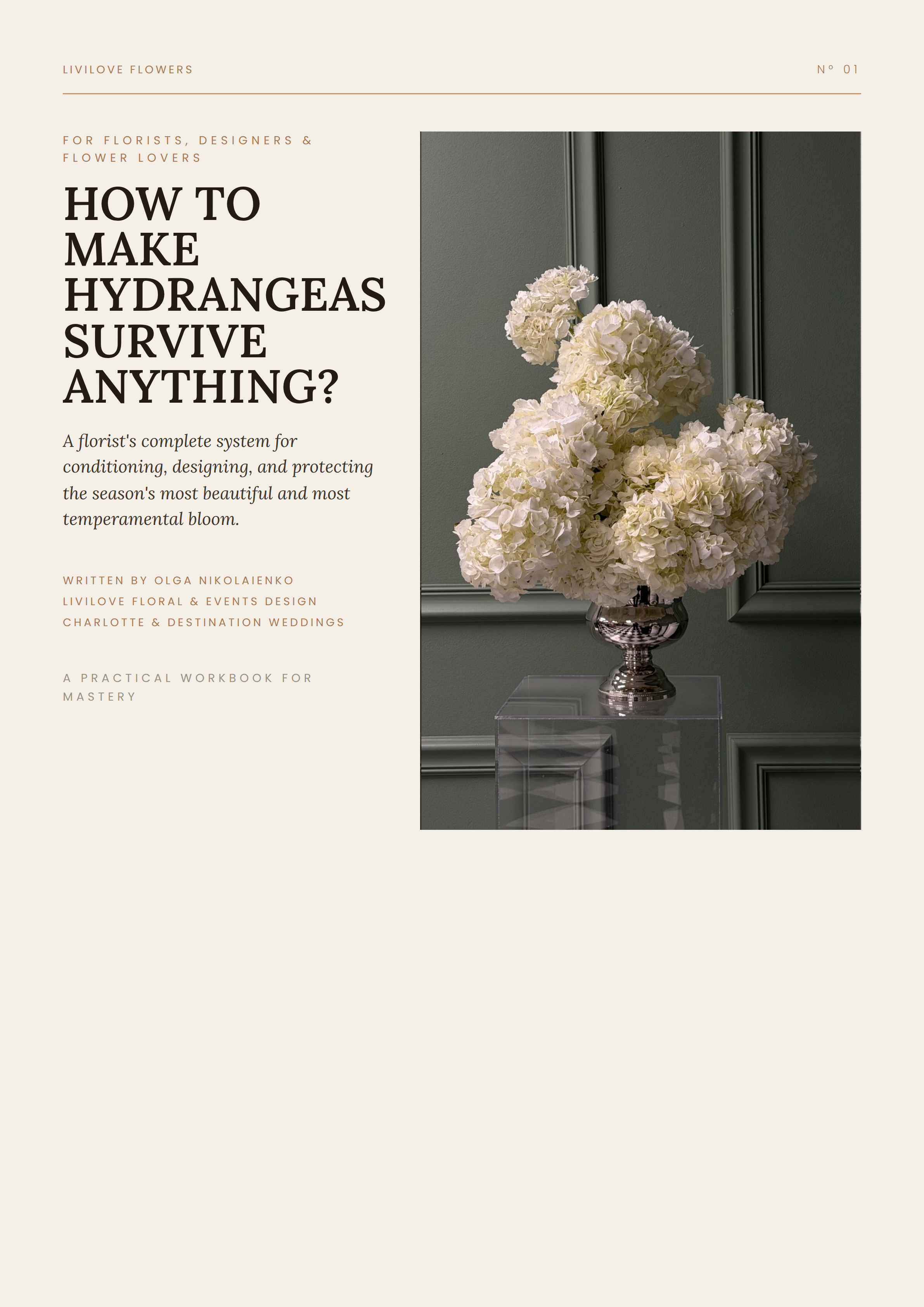 The hydrangea survival guide