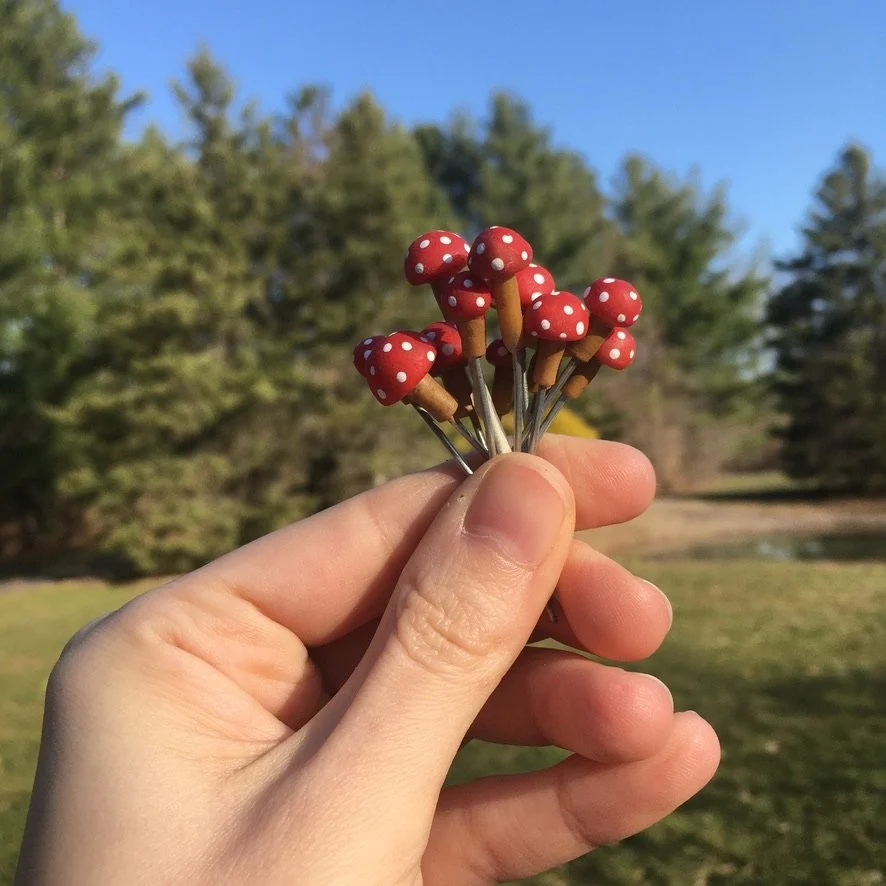 TinyMushrooms.jpeg