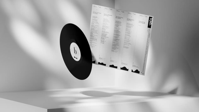 vinyl_360-ezgif.com-video-to-gif-converter.gif