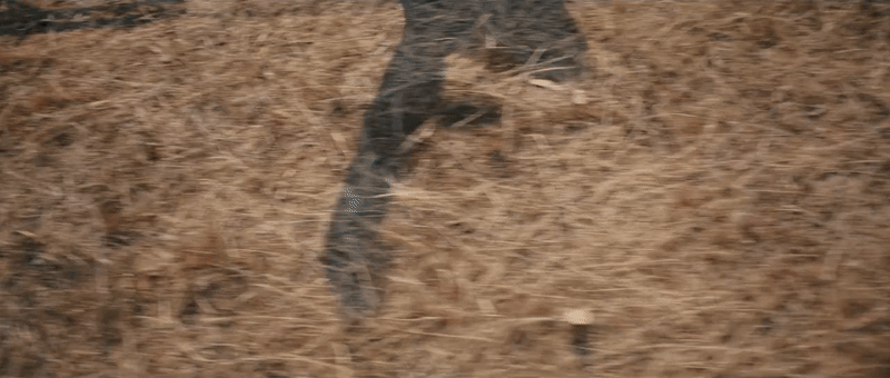 kia_ev_9_swivel_seats720p-ezgif.com-crop (2).gif