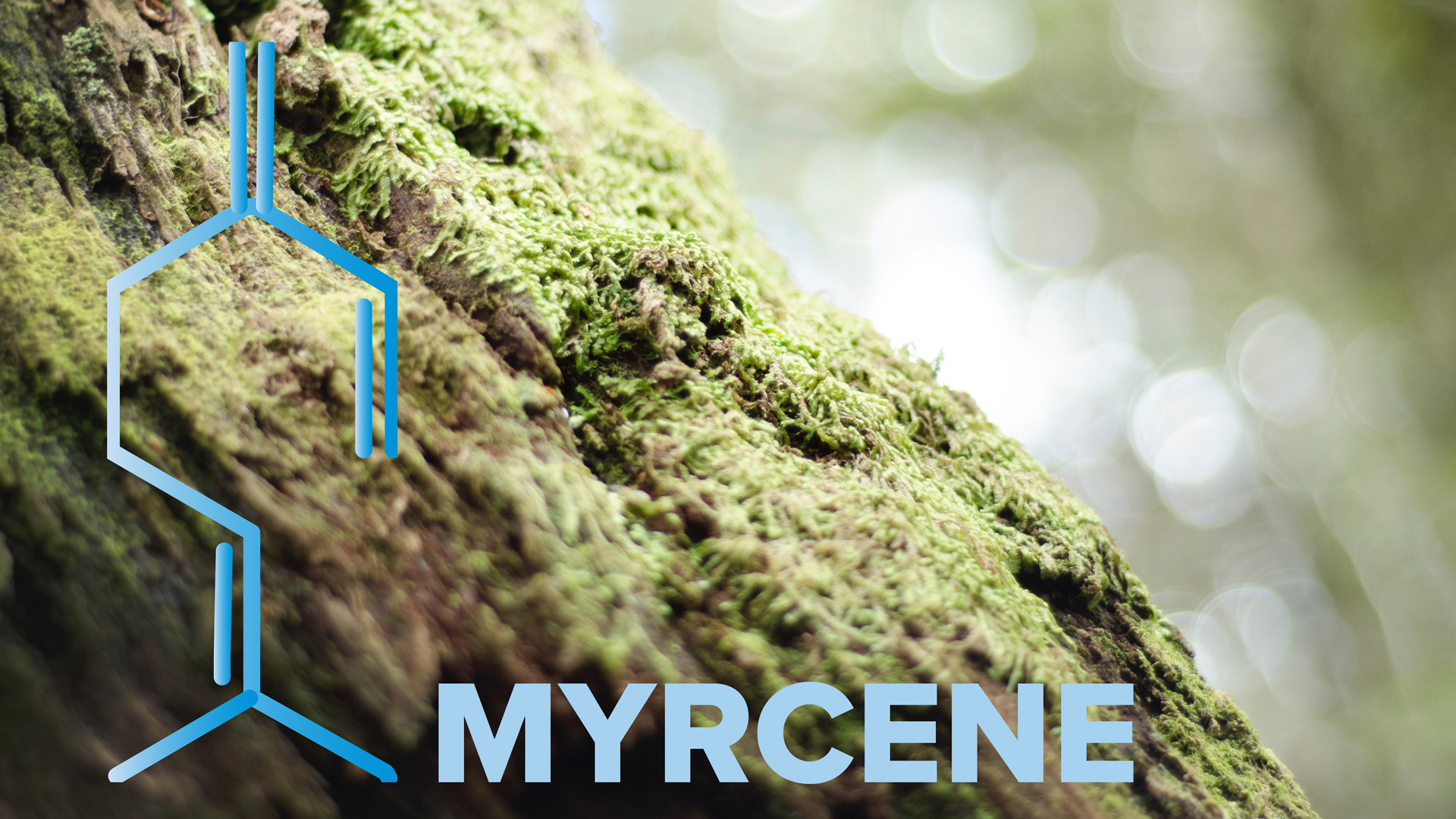 myrcene.jpg