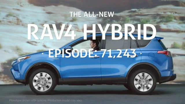 RAV4 DOG