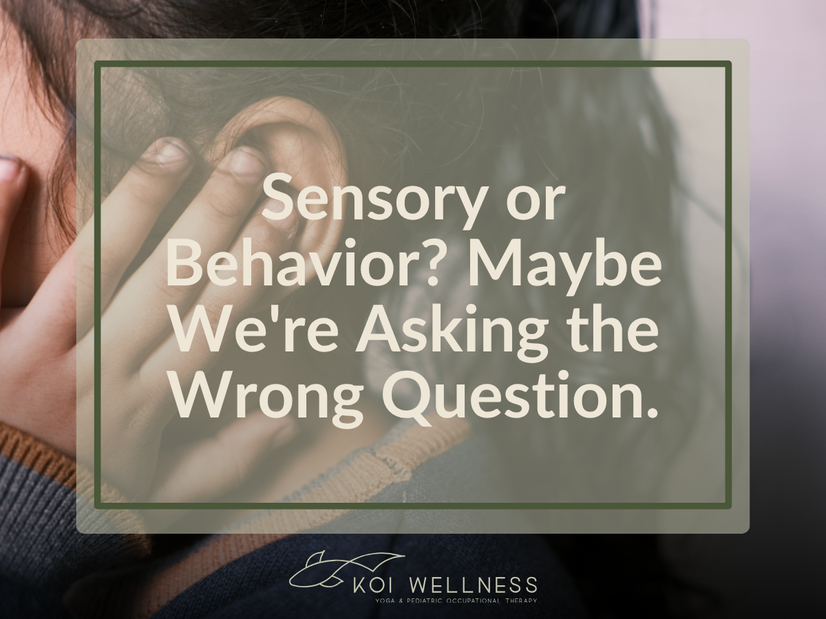 Is It Sensory or Behavior? Maybe We're Asking the Wrong Question.