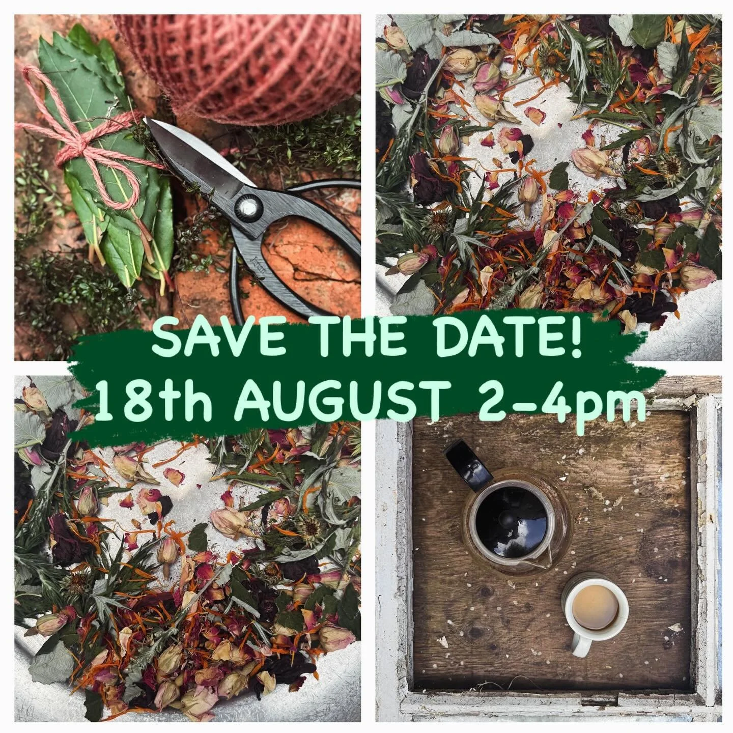 Step into the quiet magic of the Cotswolds with Jen Brampton’s “Wild Gathered: Herbal Tea Blending & Making” workshop—an unforgettable afternoon of discovery, creativity, and flavour.
Imagine wandering the fragrant hedger