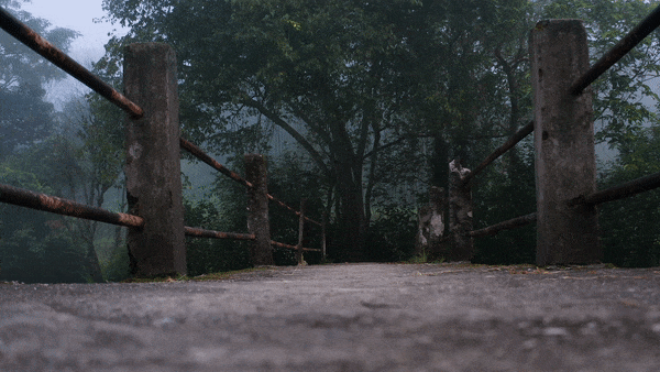 ezgif.com-optimize (2).gif