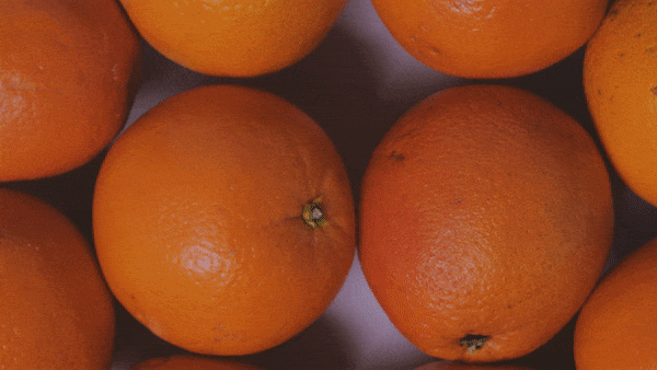 ezgif.com-optimize (5).gif