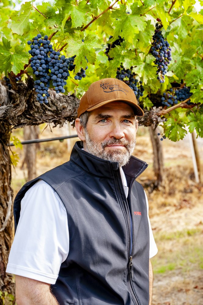 Winemaker Jonathan Edelman in the ripe Cabernet rows of Red Willow Vineyard