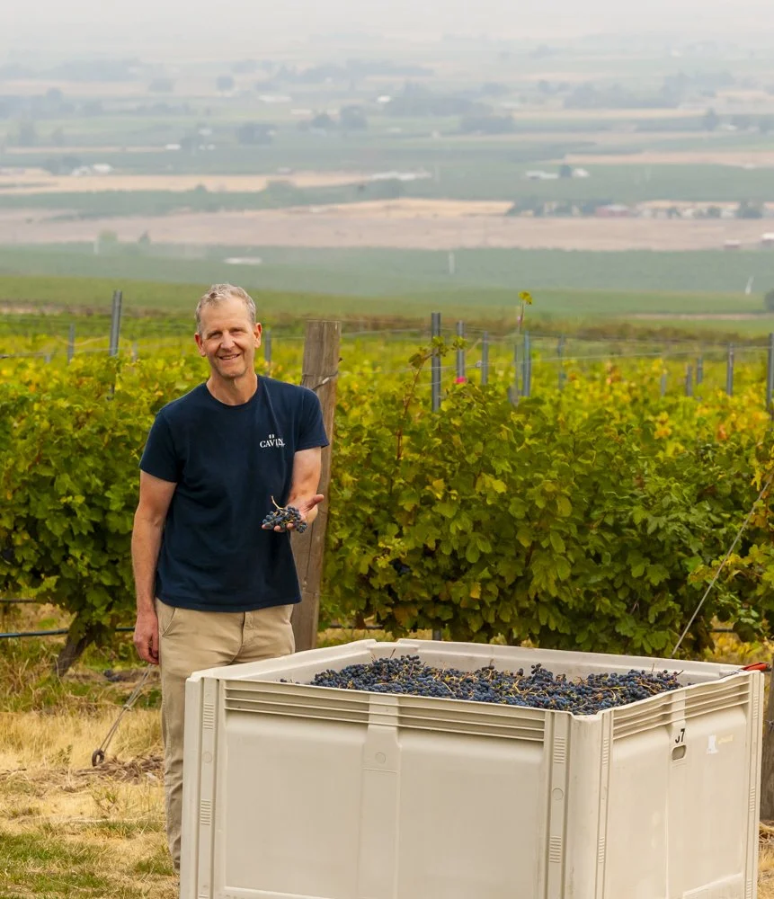 Winemaker Dan Sogg with a handful of Malbec grapes at harvest time