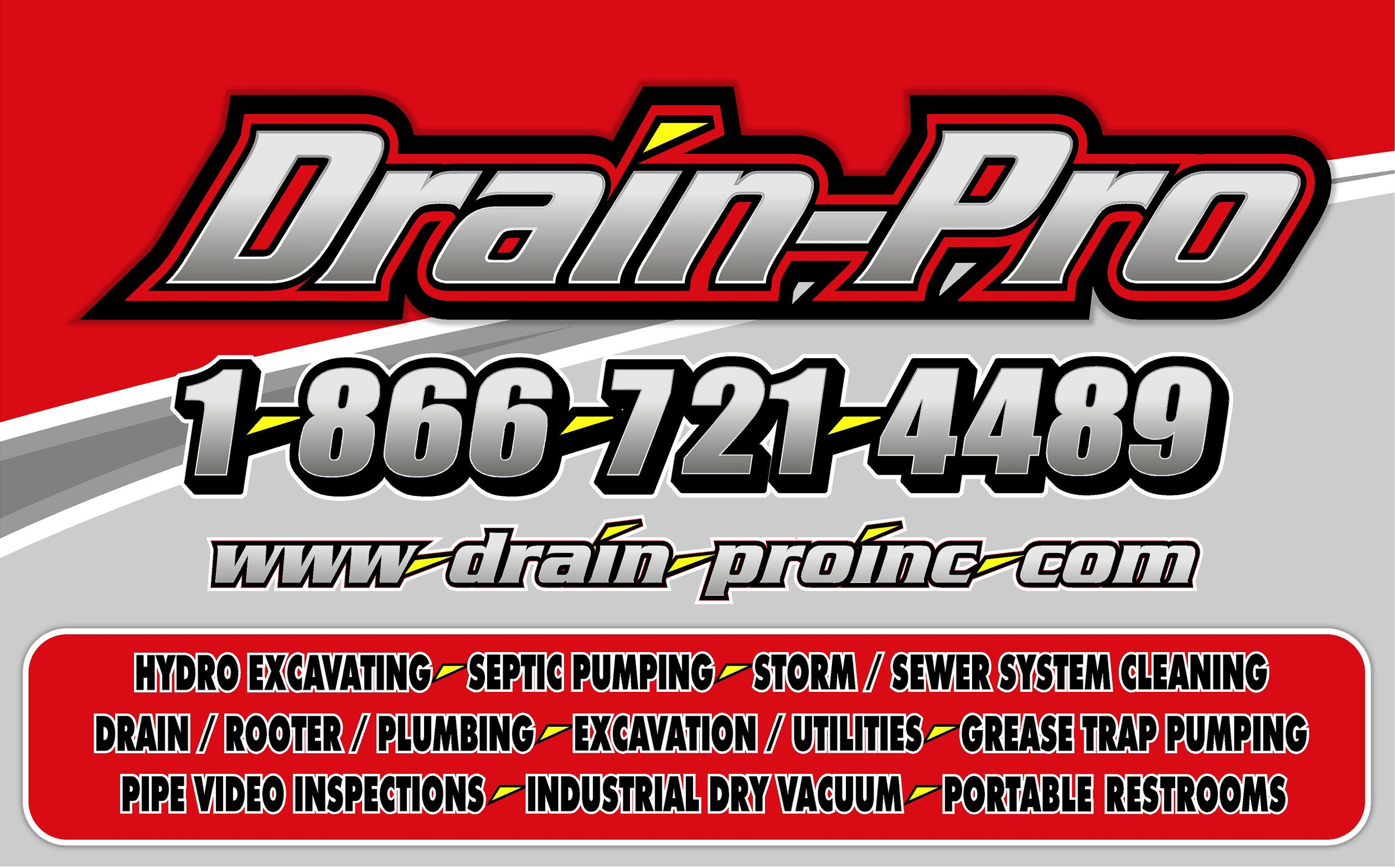 DP LOGO WITH SERVICES.png