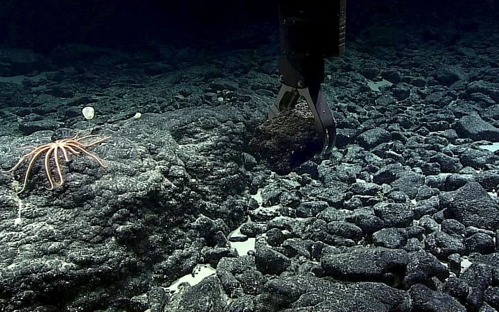 Exploration in the Manihiki Plateau.