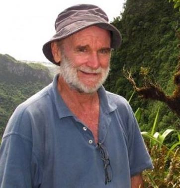 The precautionary principle: Will seabed mining release carbon emissions?