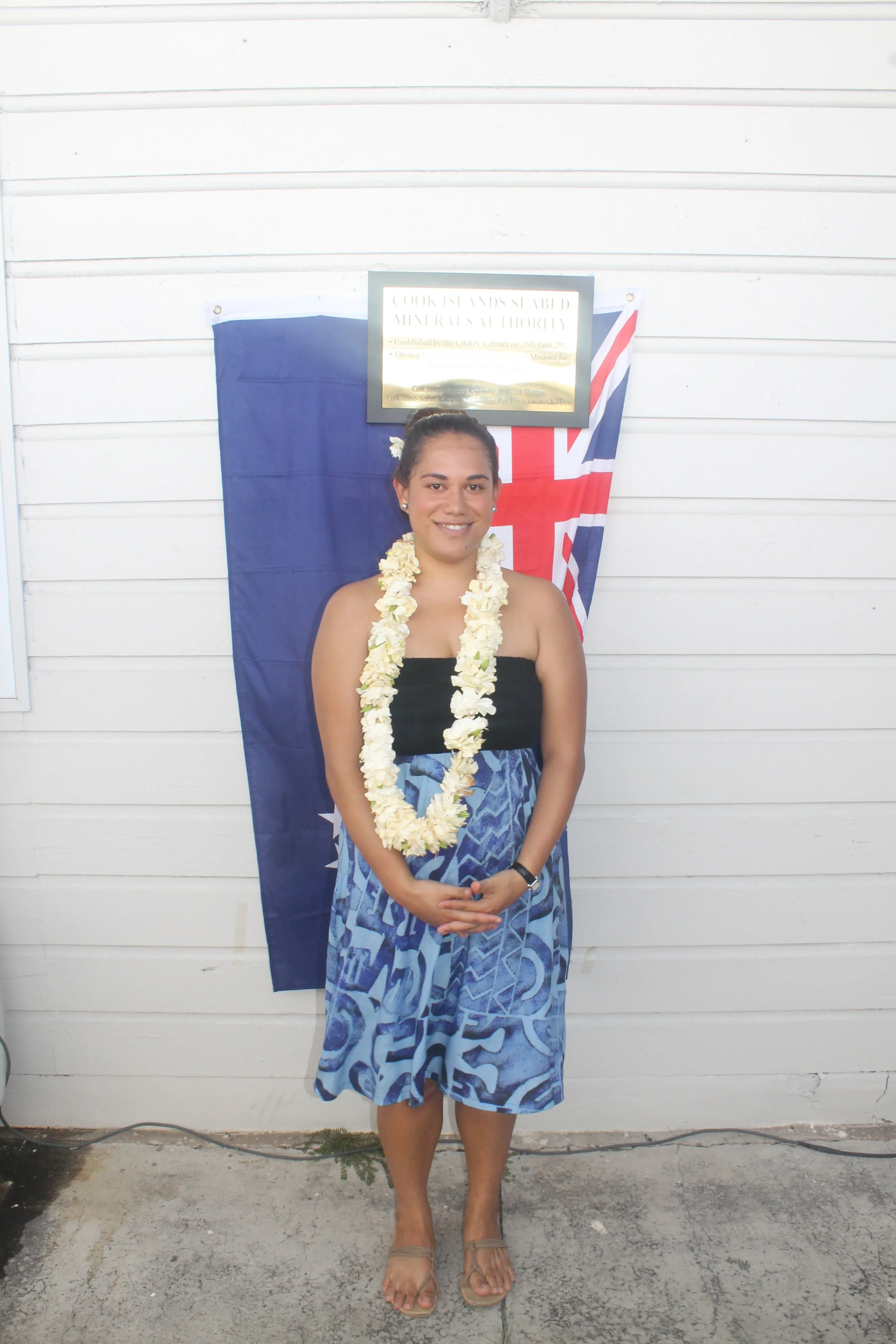 New Minerals Commissioner