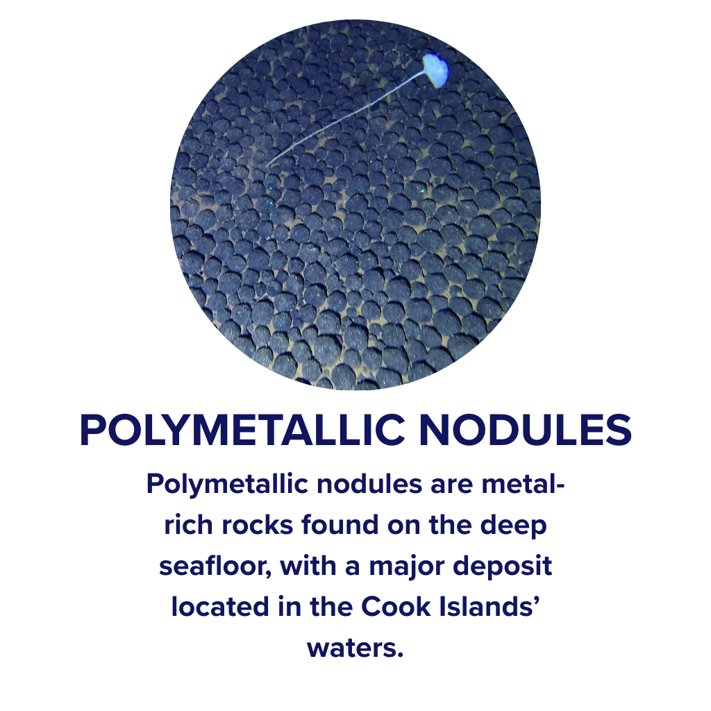 Cook Islands Seabed Minerals Authority - Types of seabed Minerals