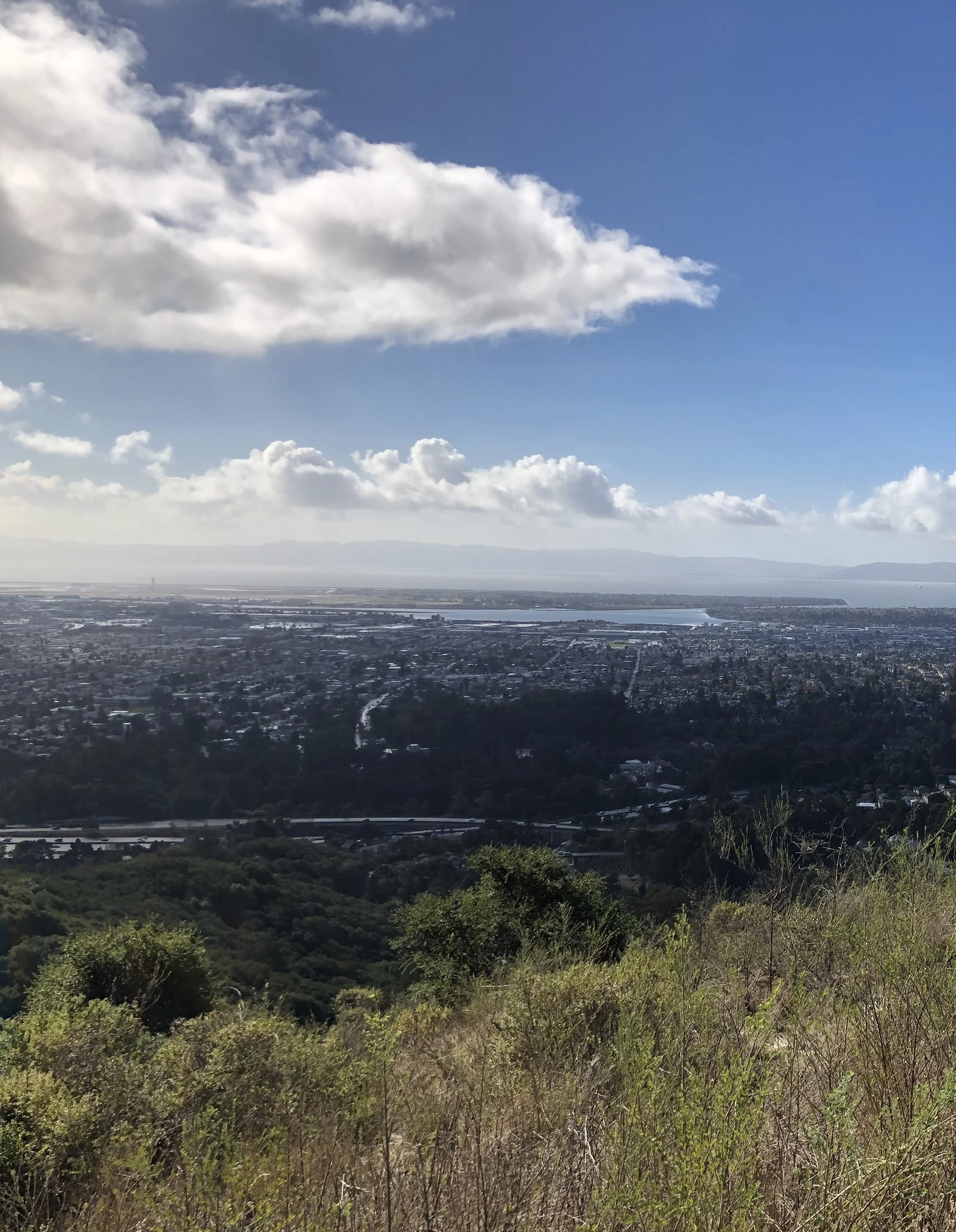 view.jpeg
