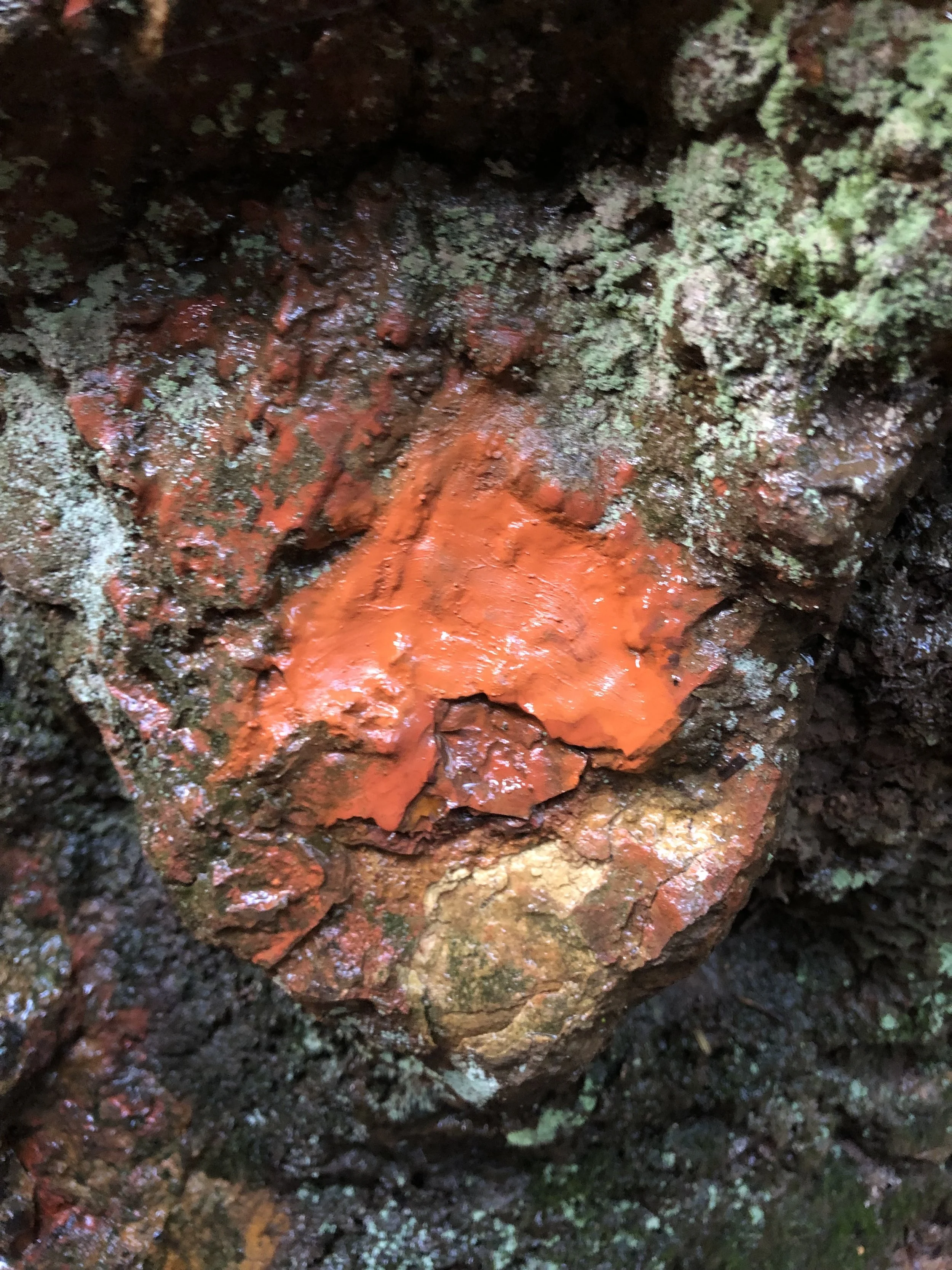 red-ochre.jpeg