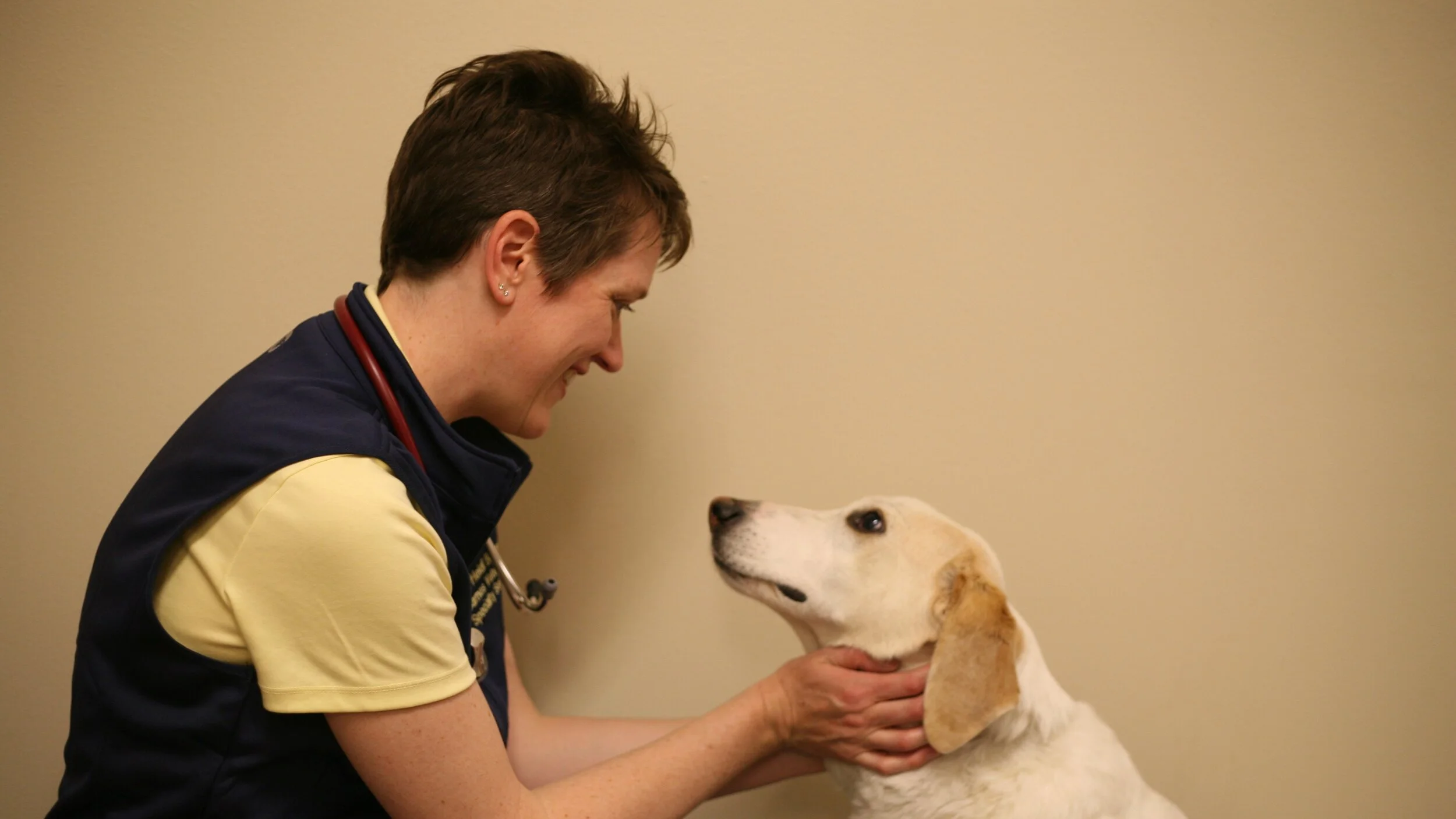 Meningitis...Encephalitis...?