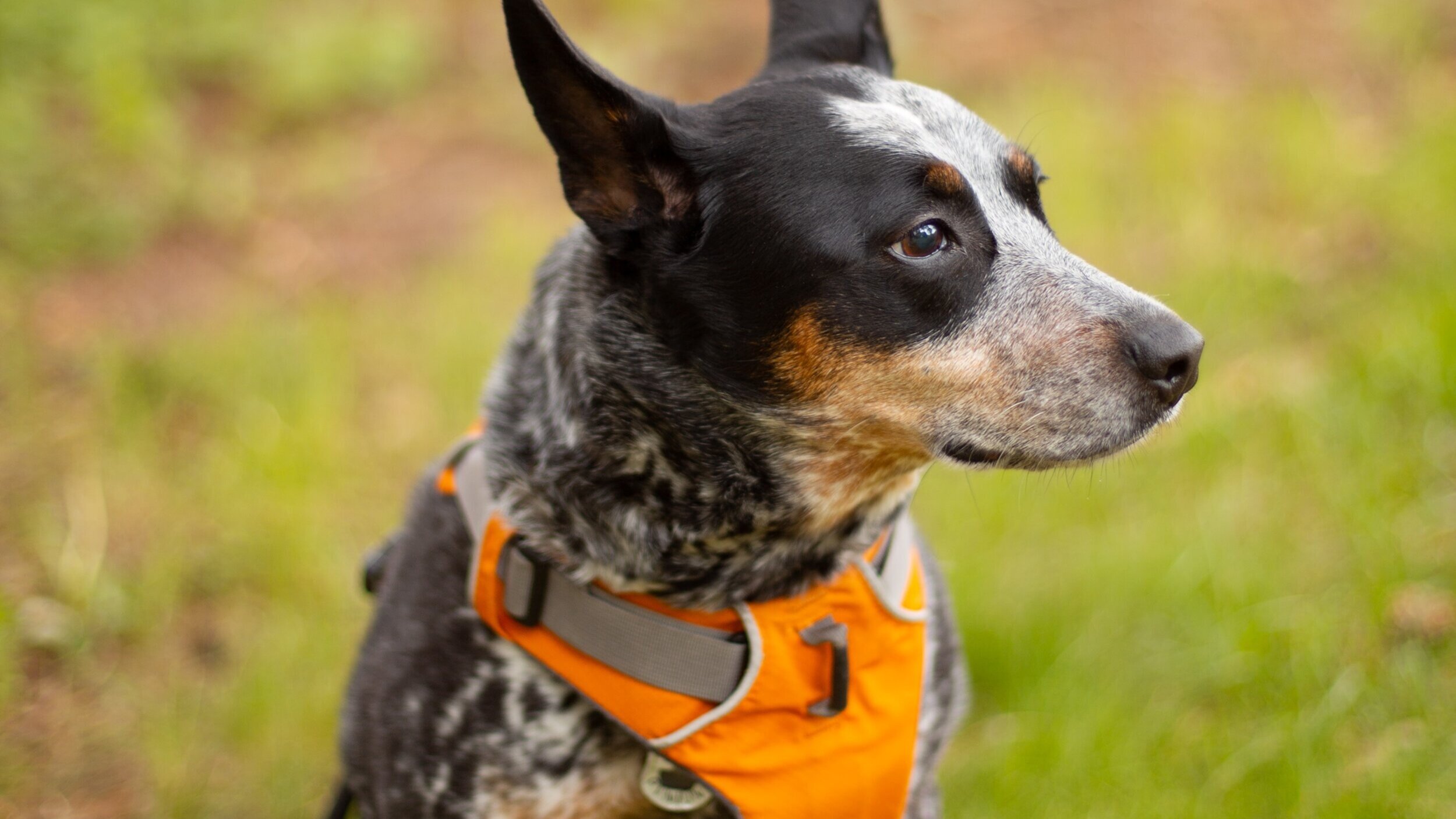 When Should You Start Anticonvulsant Drugs (and Why)?