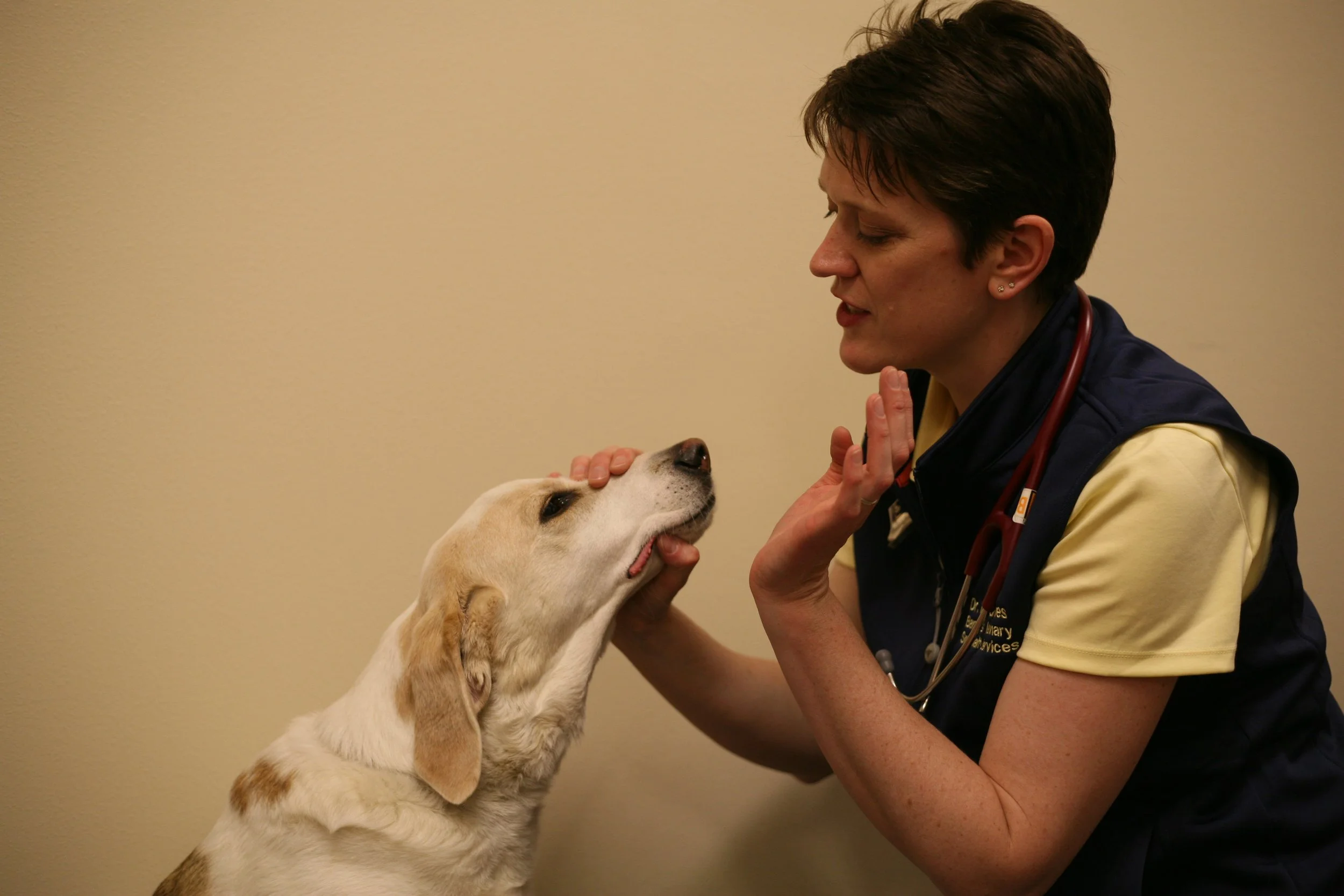 How reliable is the neurologic exam for patients with vestibular disease?