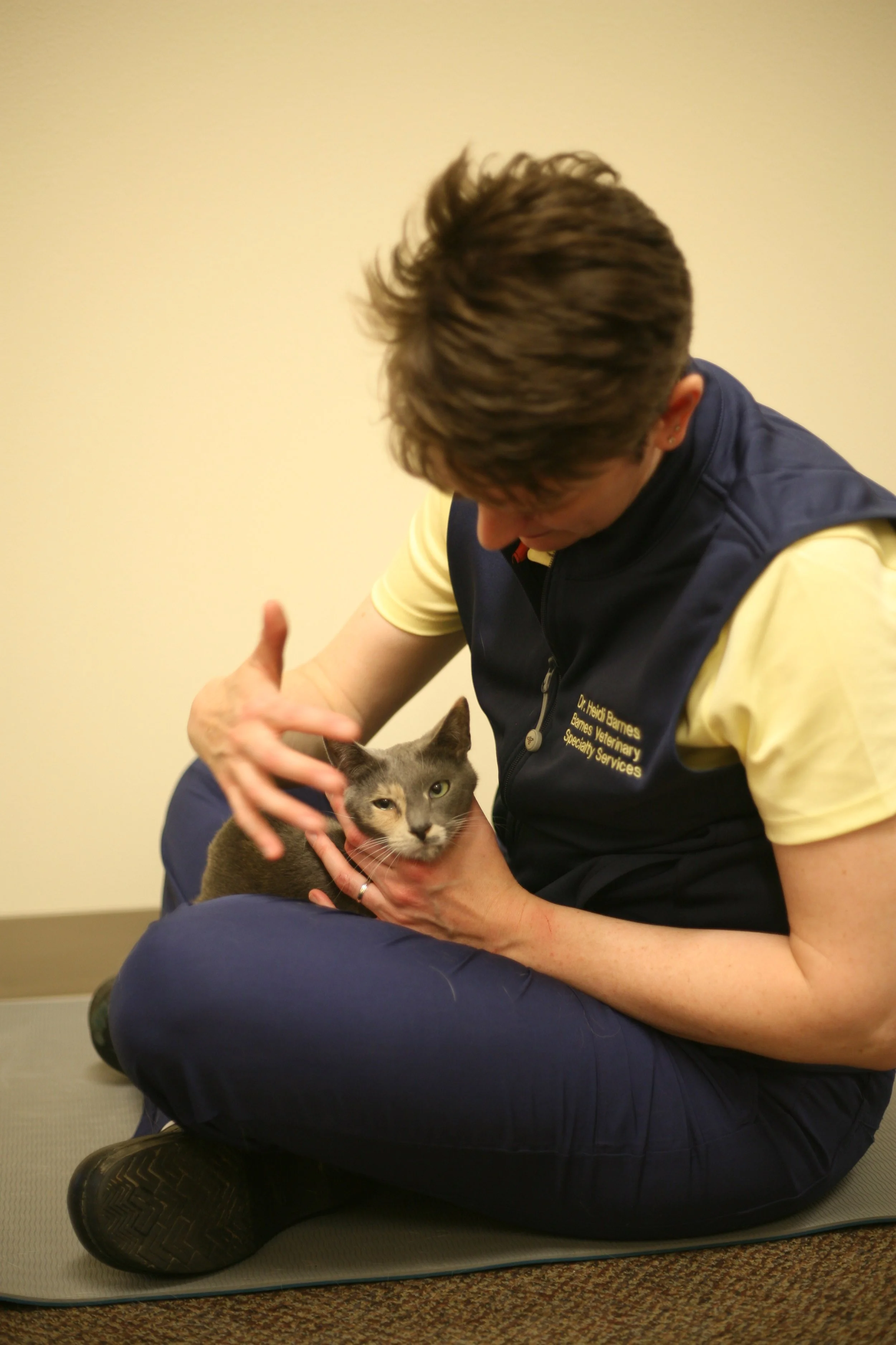 Cranial Nerve Refresher!