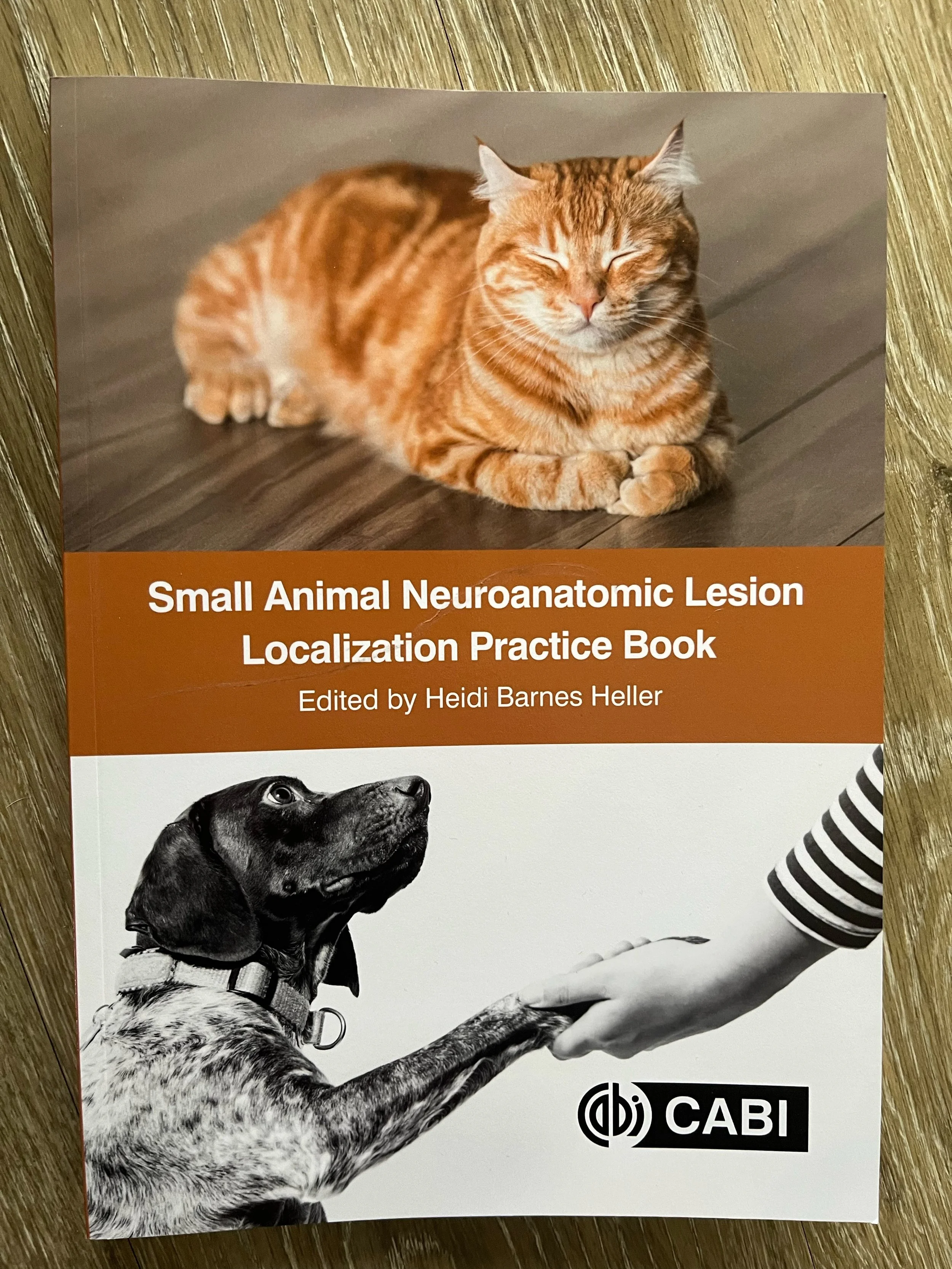 Neuroanatomic Lesion Localization Practice book!