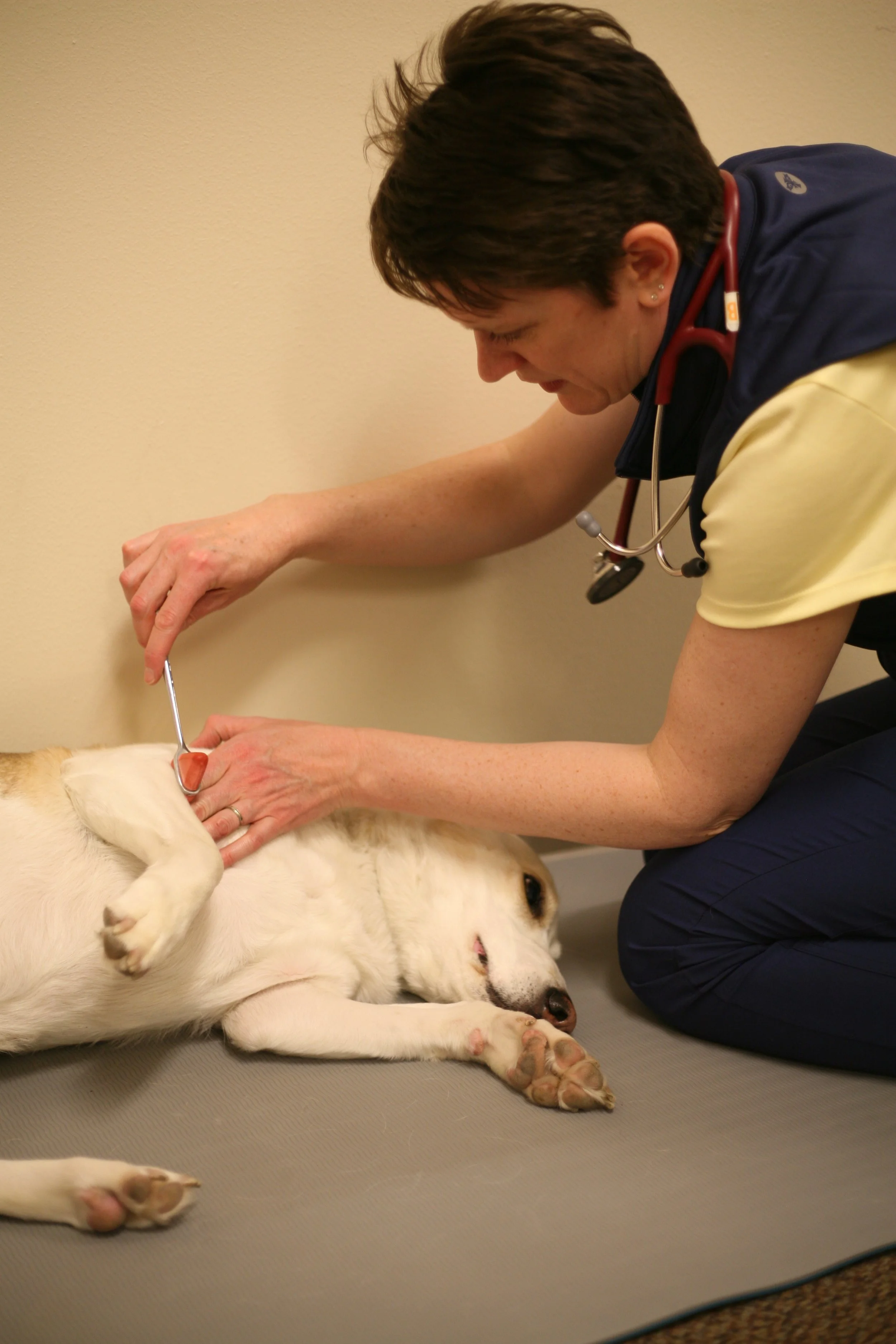 Exciting CE Announcement!