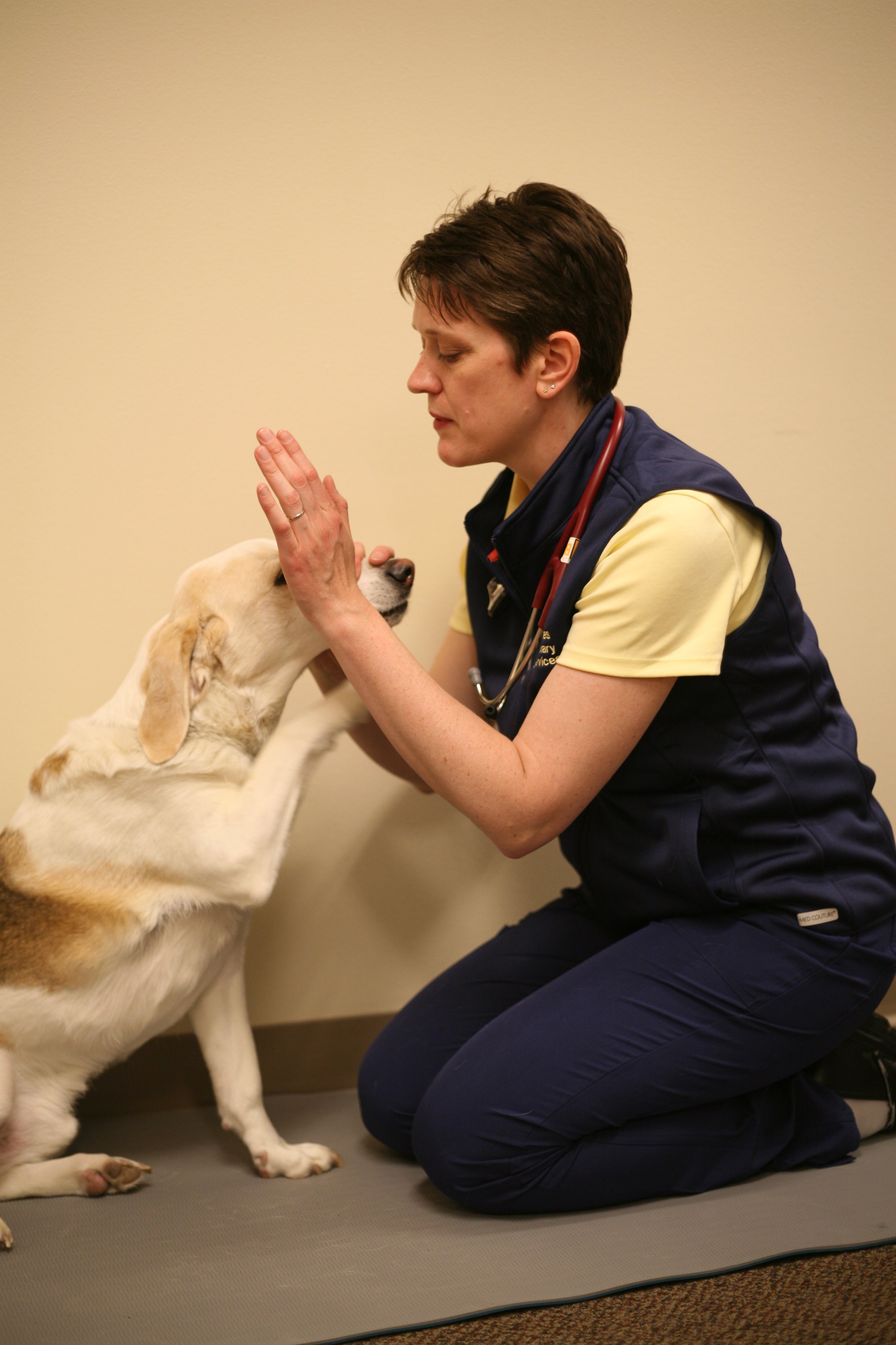 How to Question an Owner 