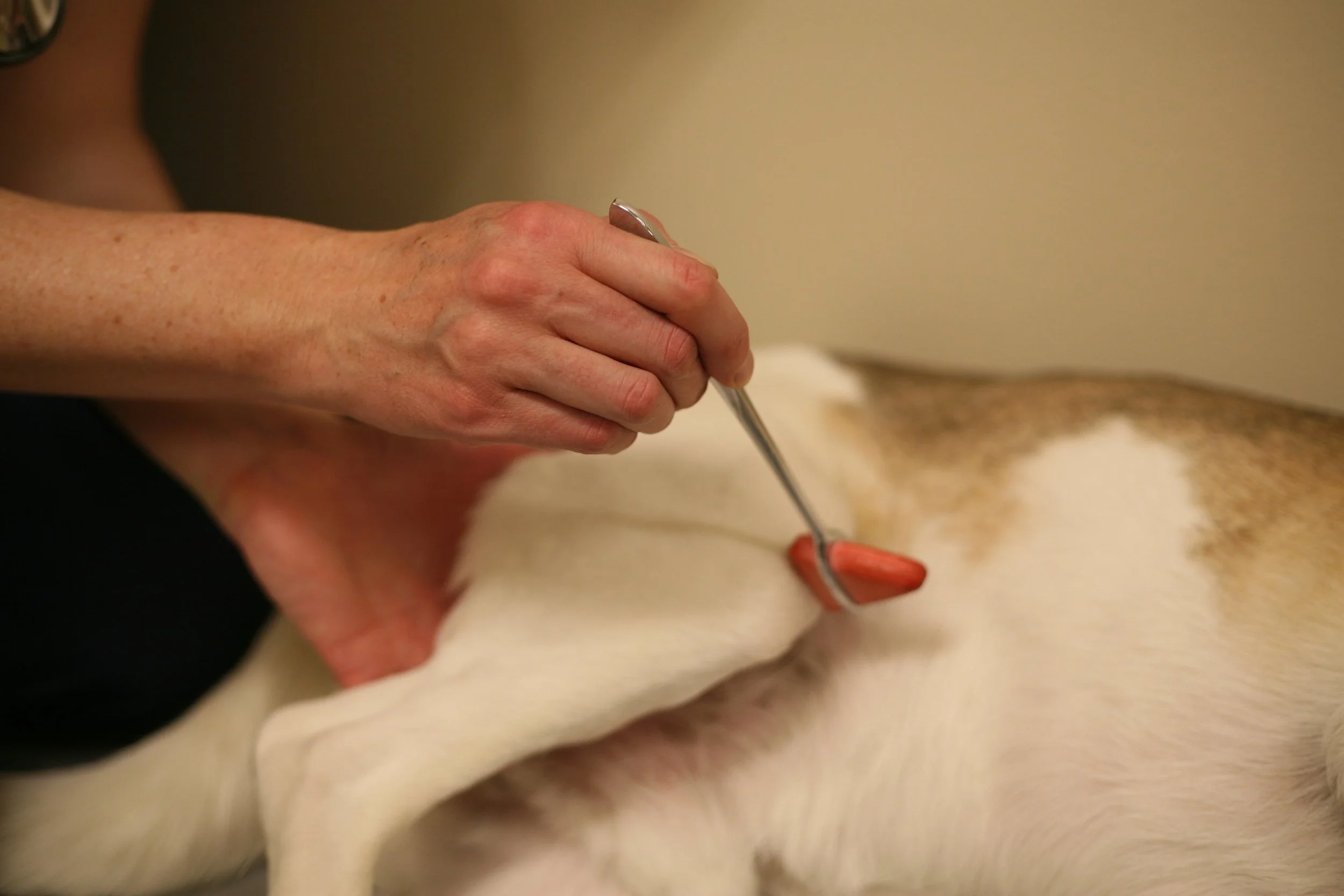 Which Reflexes Should I Do?