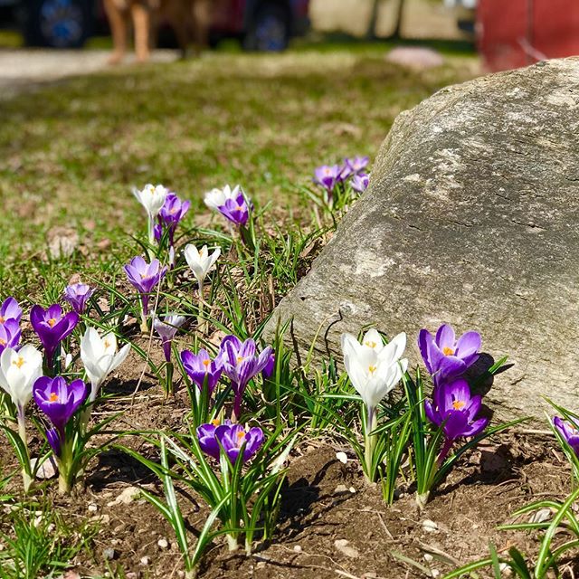 Happy Easter!