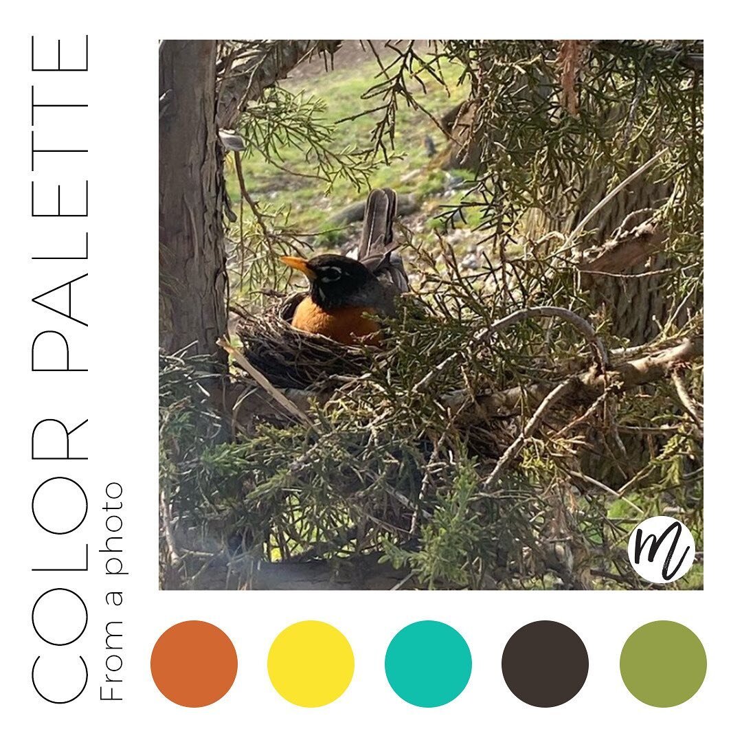 Color palettes inspired by photos :)