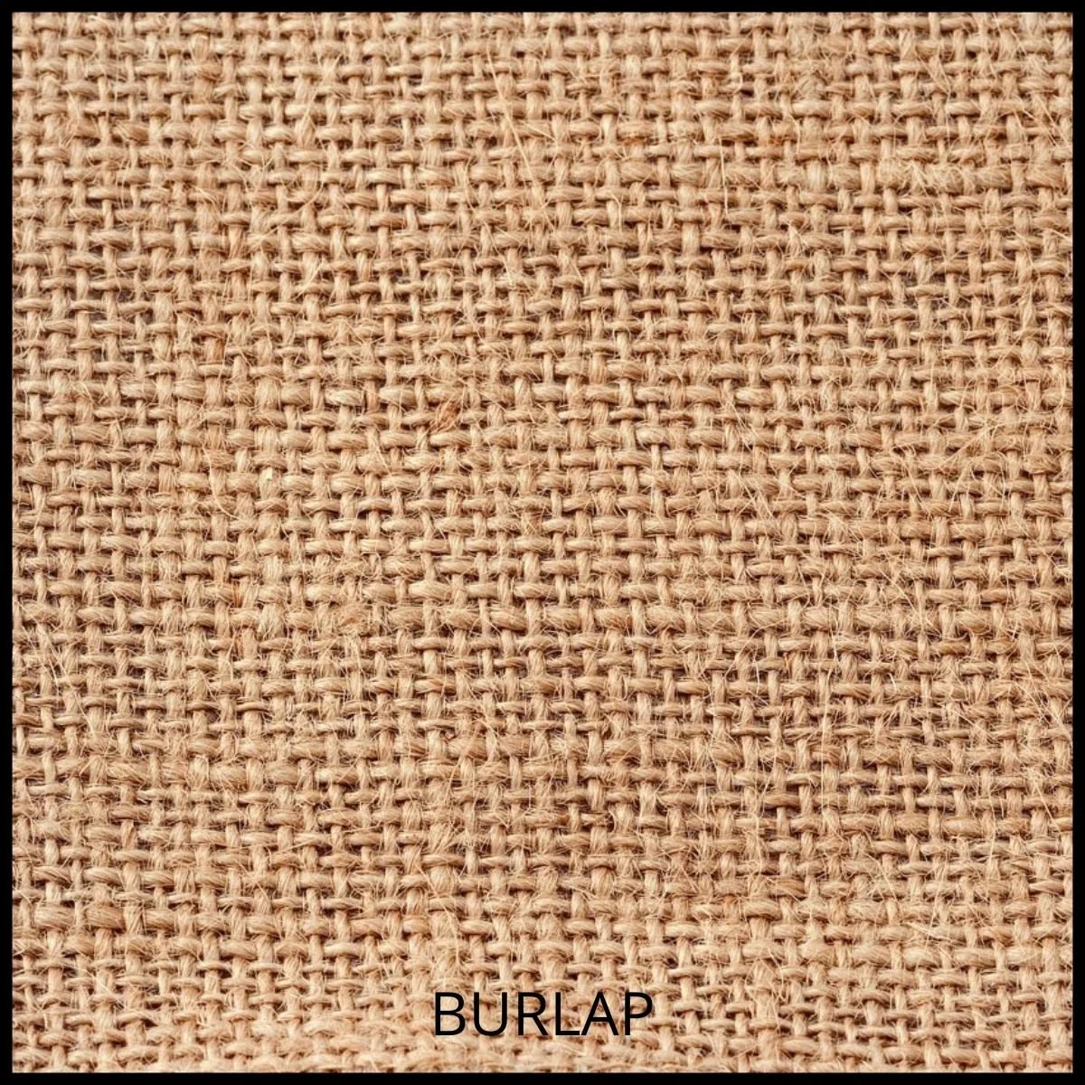 BURLAP.jpg