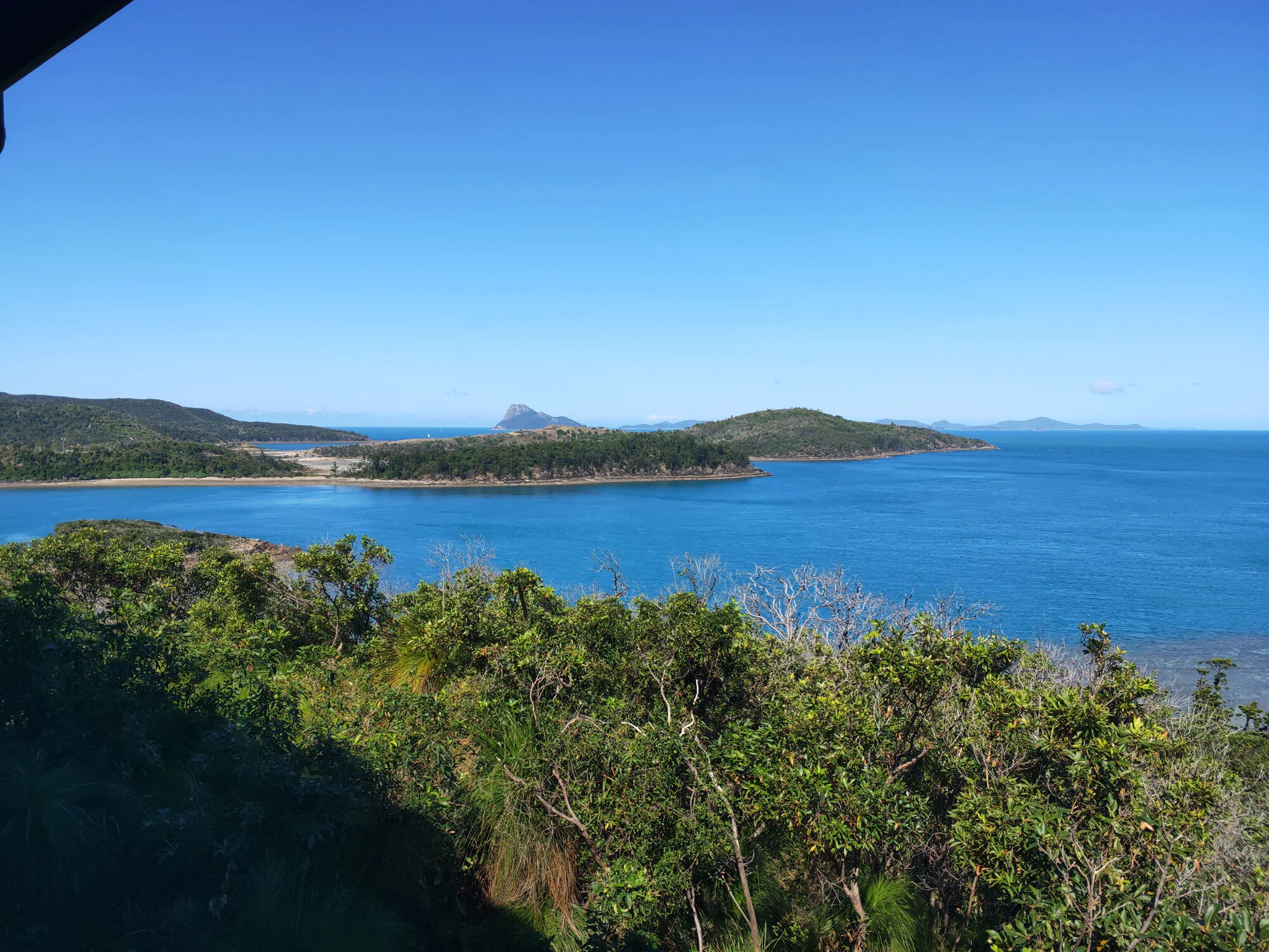 IMG20190829141832.jpg