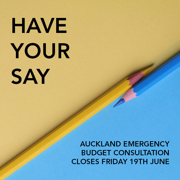 Diverse communities &amp; voices urged to have their say on council Emergency Budget