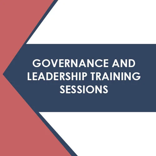 Governance and Leadership Training - Networking, Relationships and Adapting