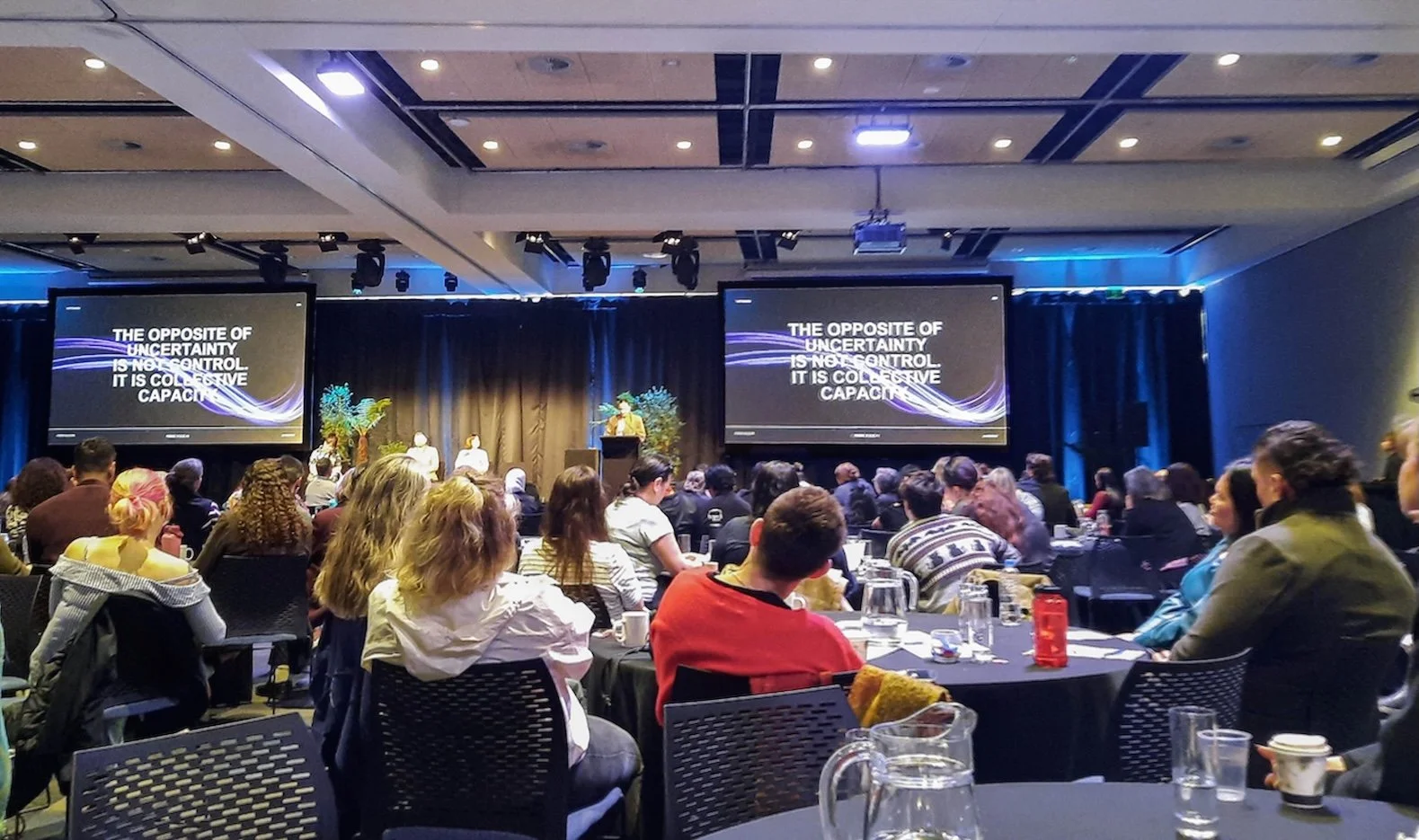 Belong Aotearoa Sector Update 24 September 2026