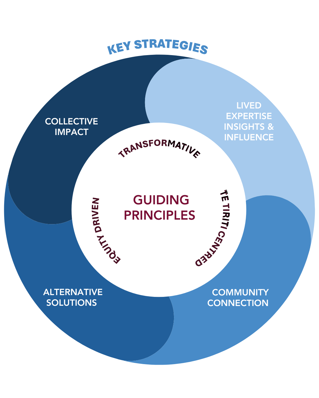 Our Strategy — Belong Aotearoa
