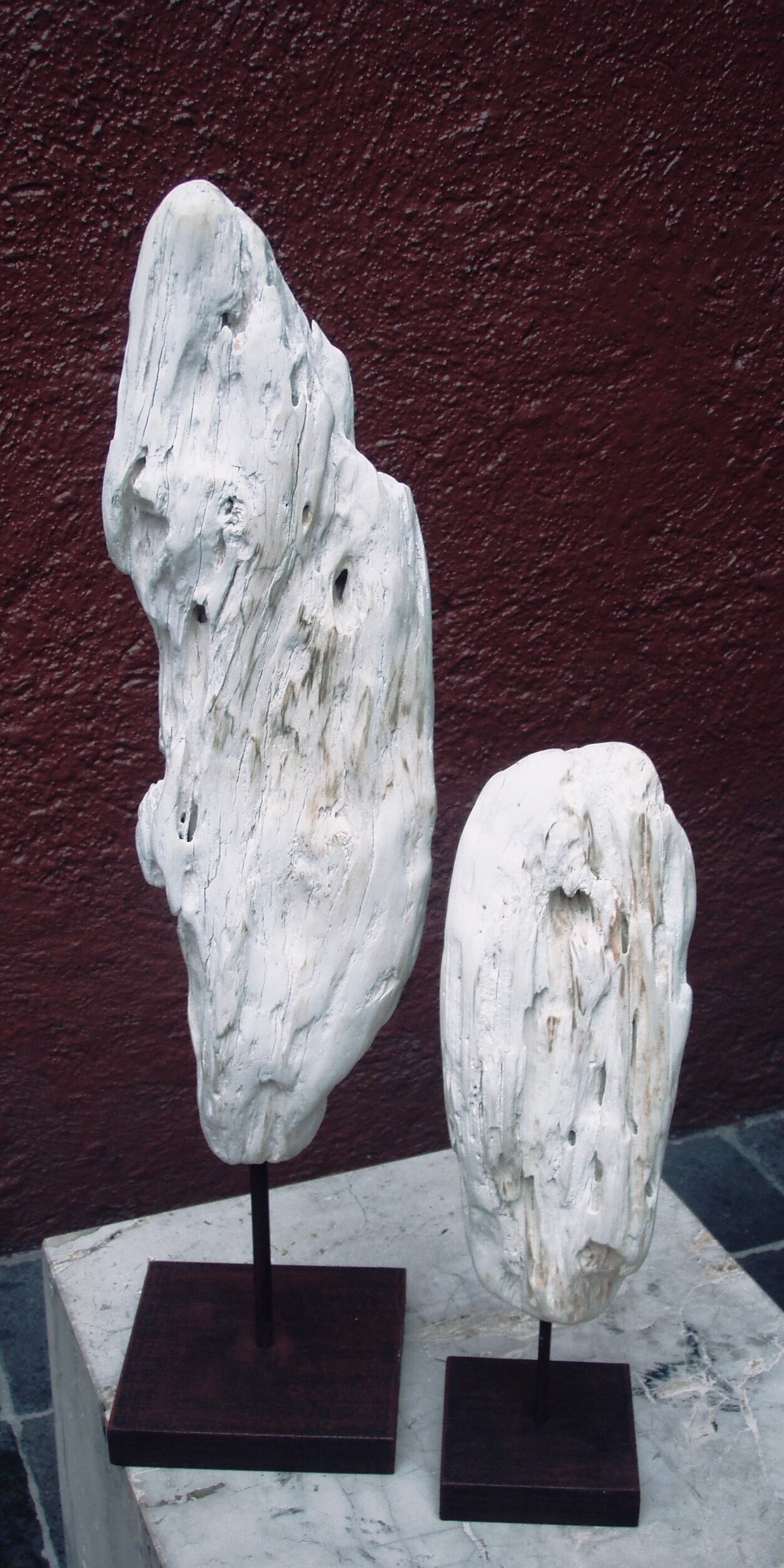 Ala & Escarabajo