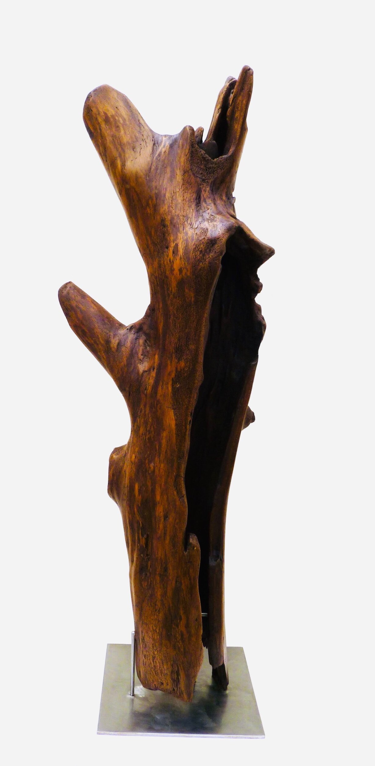 Lge Hollow Tree
