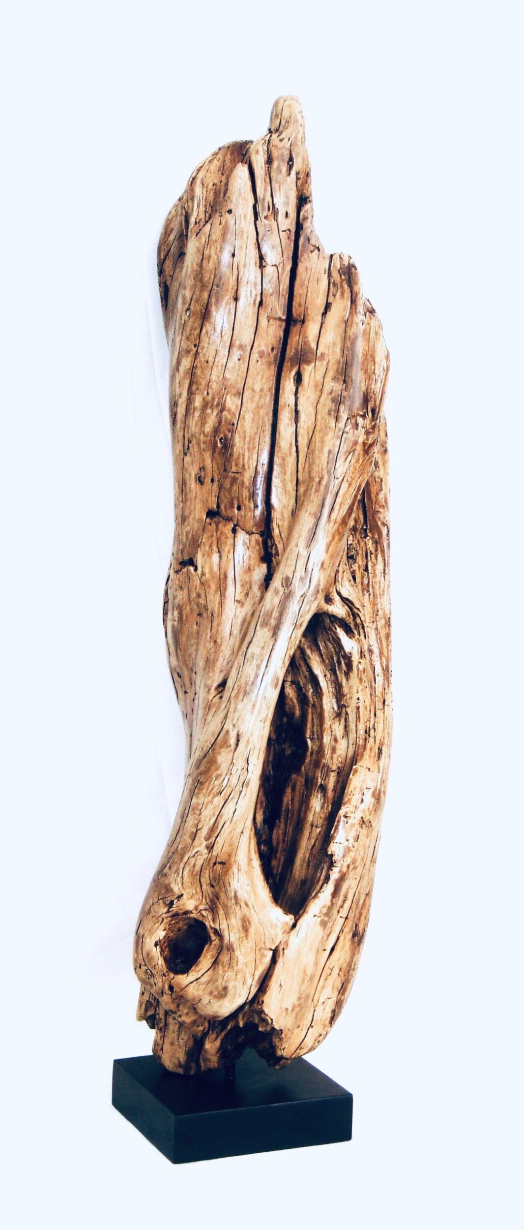 Melted Hollow Tree