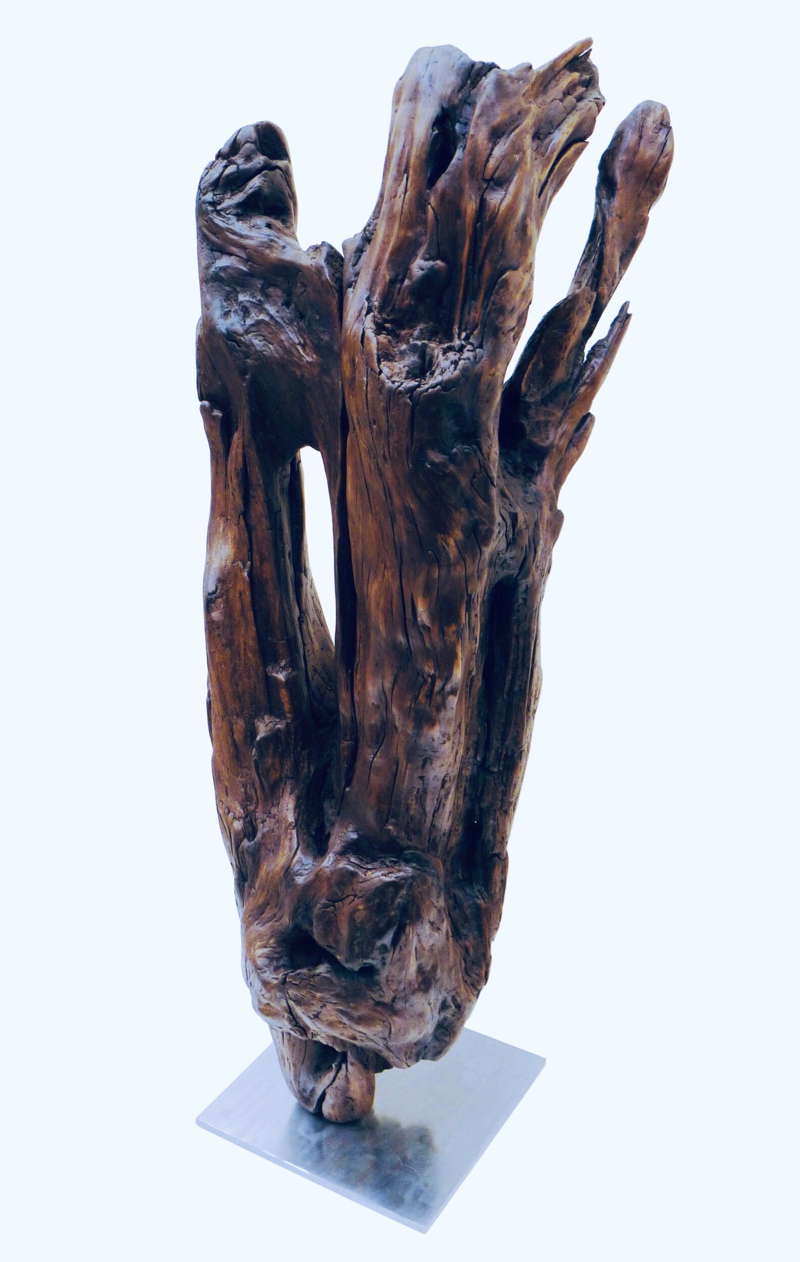 Melted Walnut Trunk