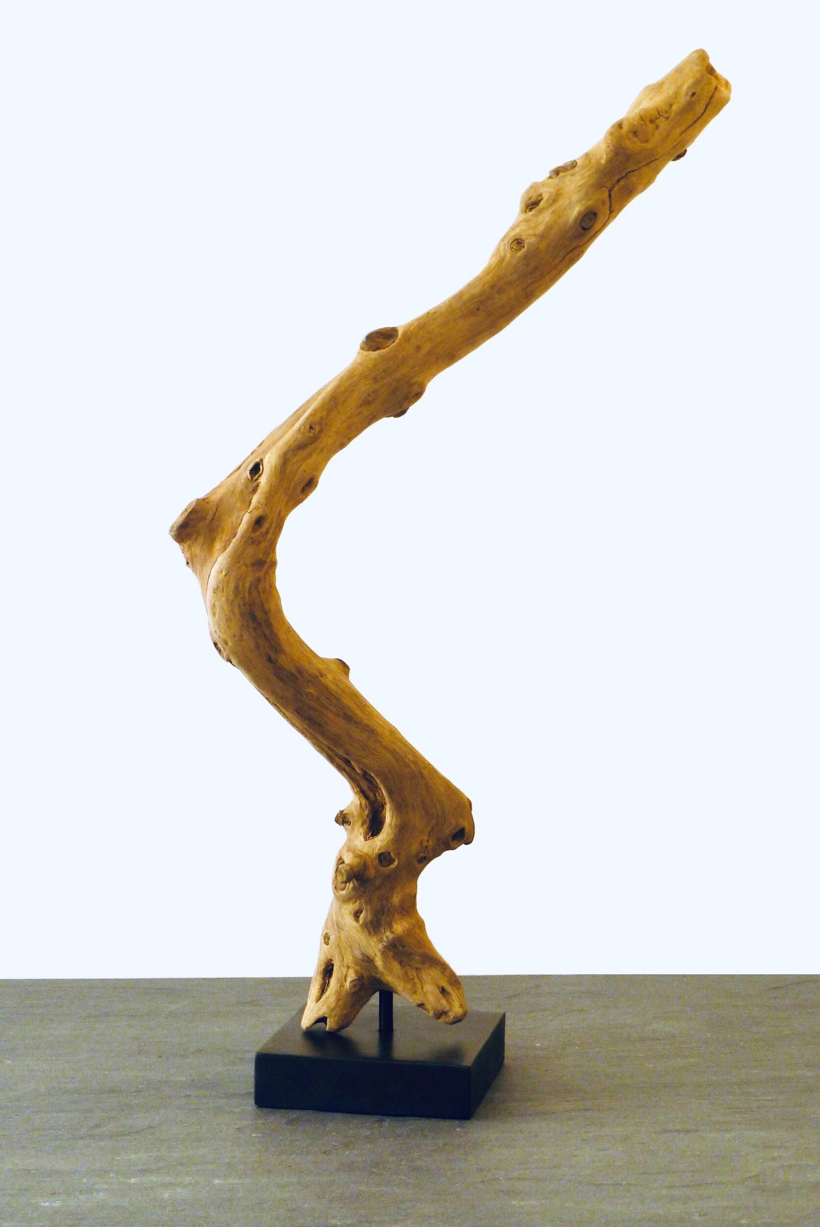 Growing Tree
