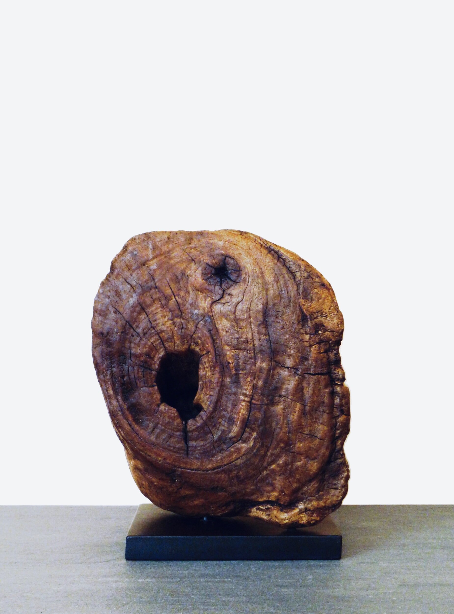 Cedar Nest