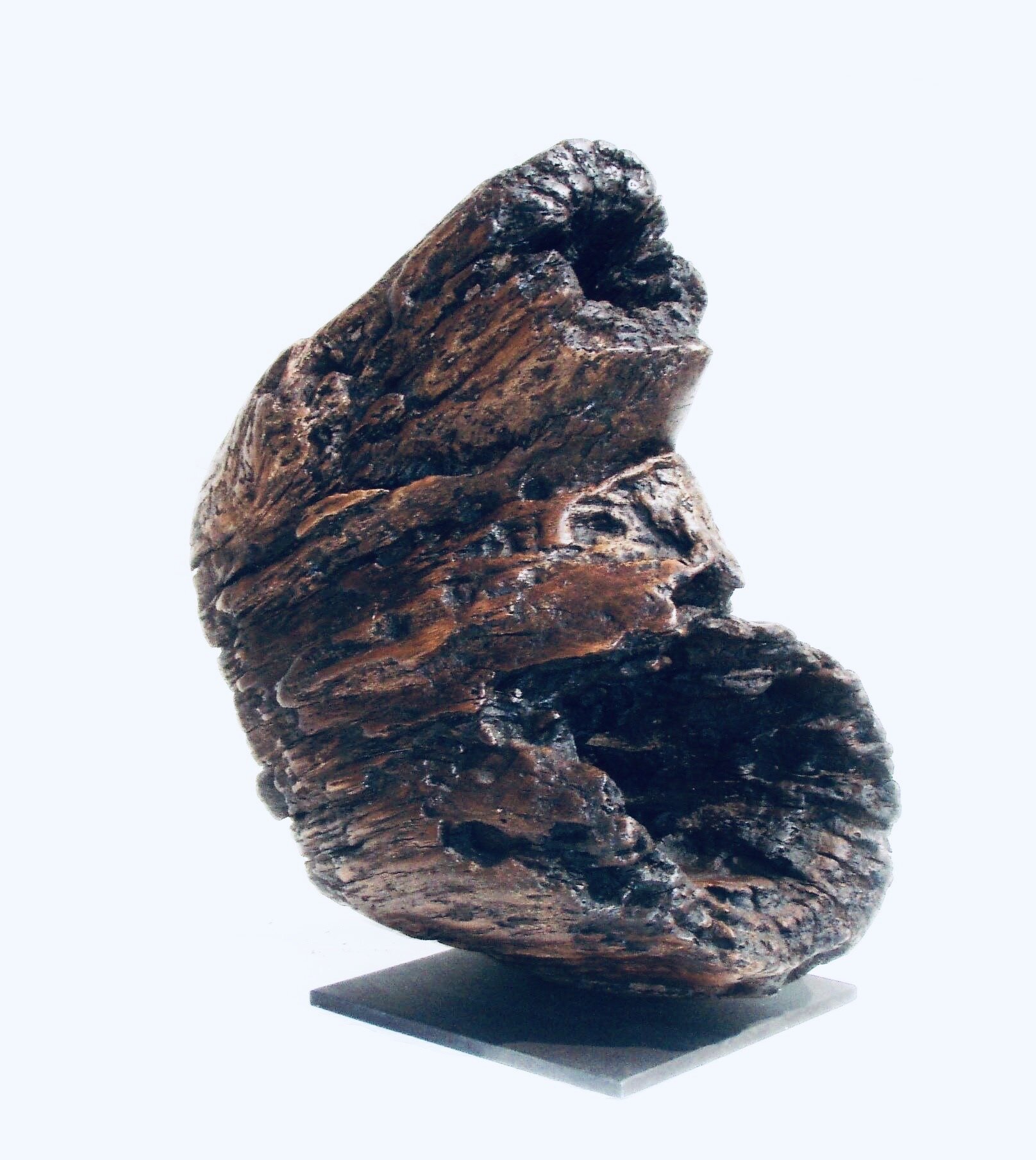 Double Hollow Trunk