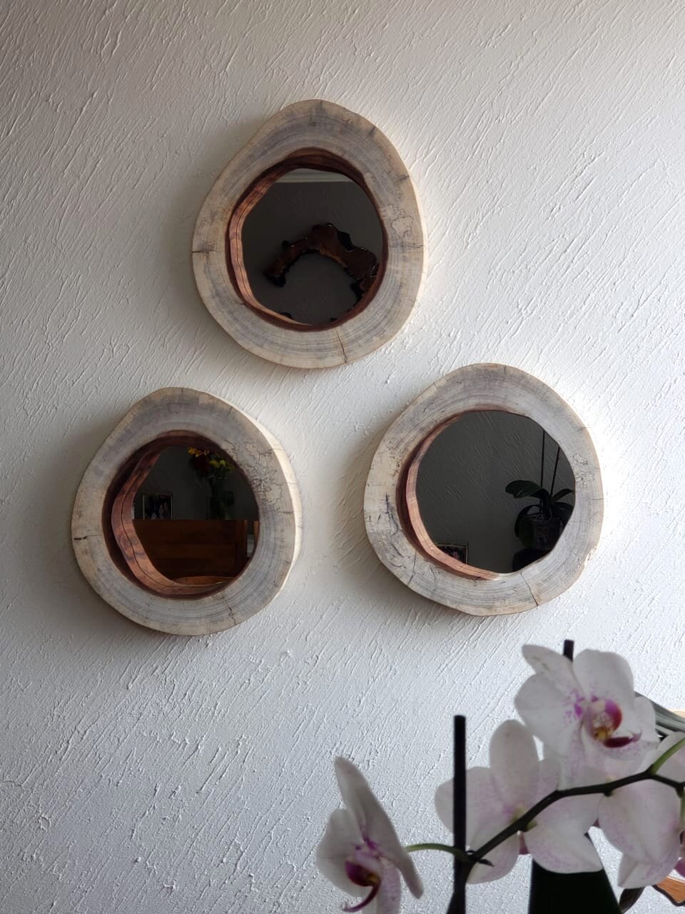 Tronco Espejo