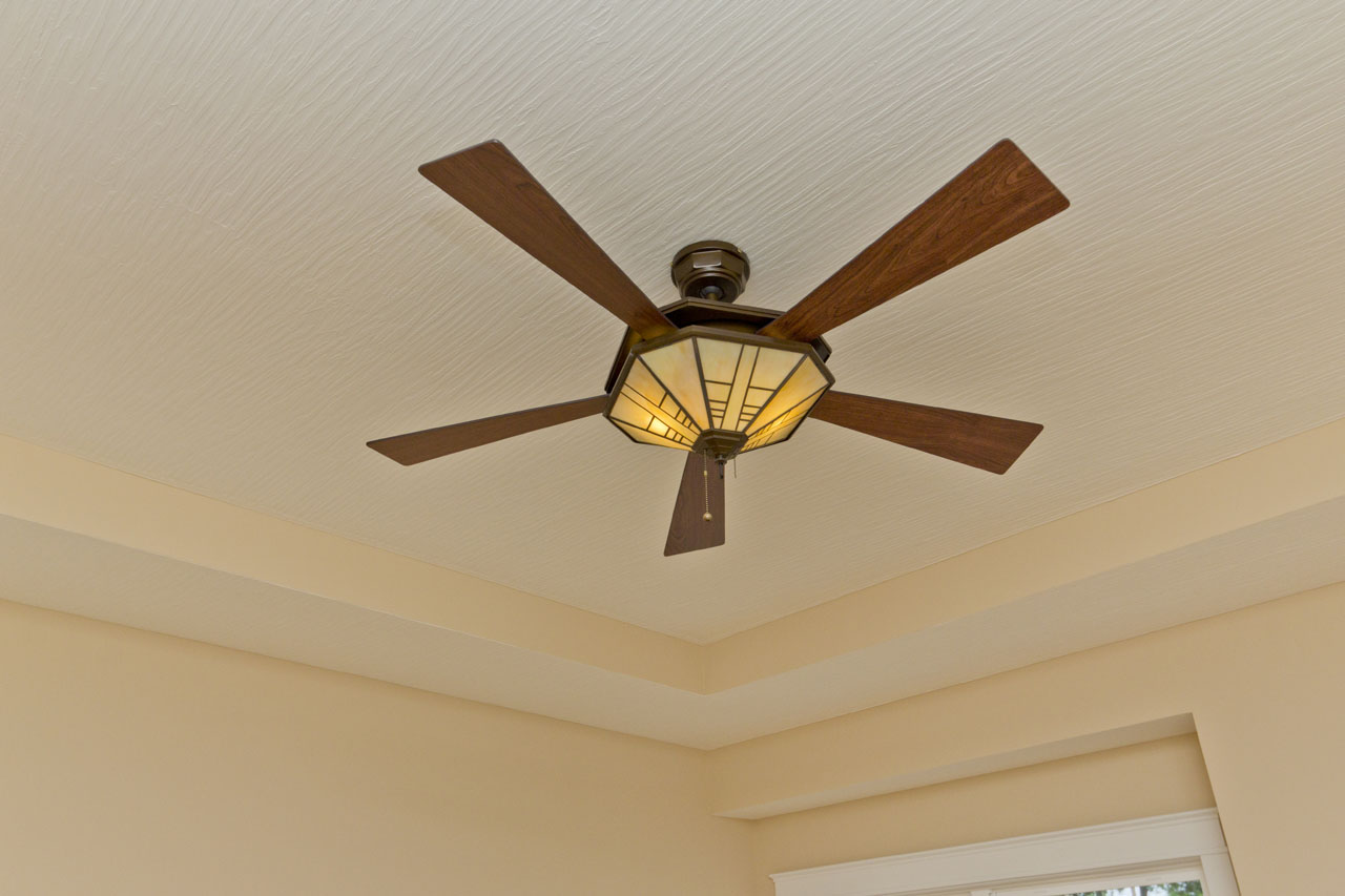 MBR detail tray ceiling and fan IMG_1239.jpg