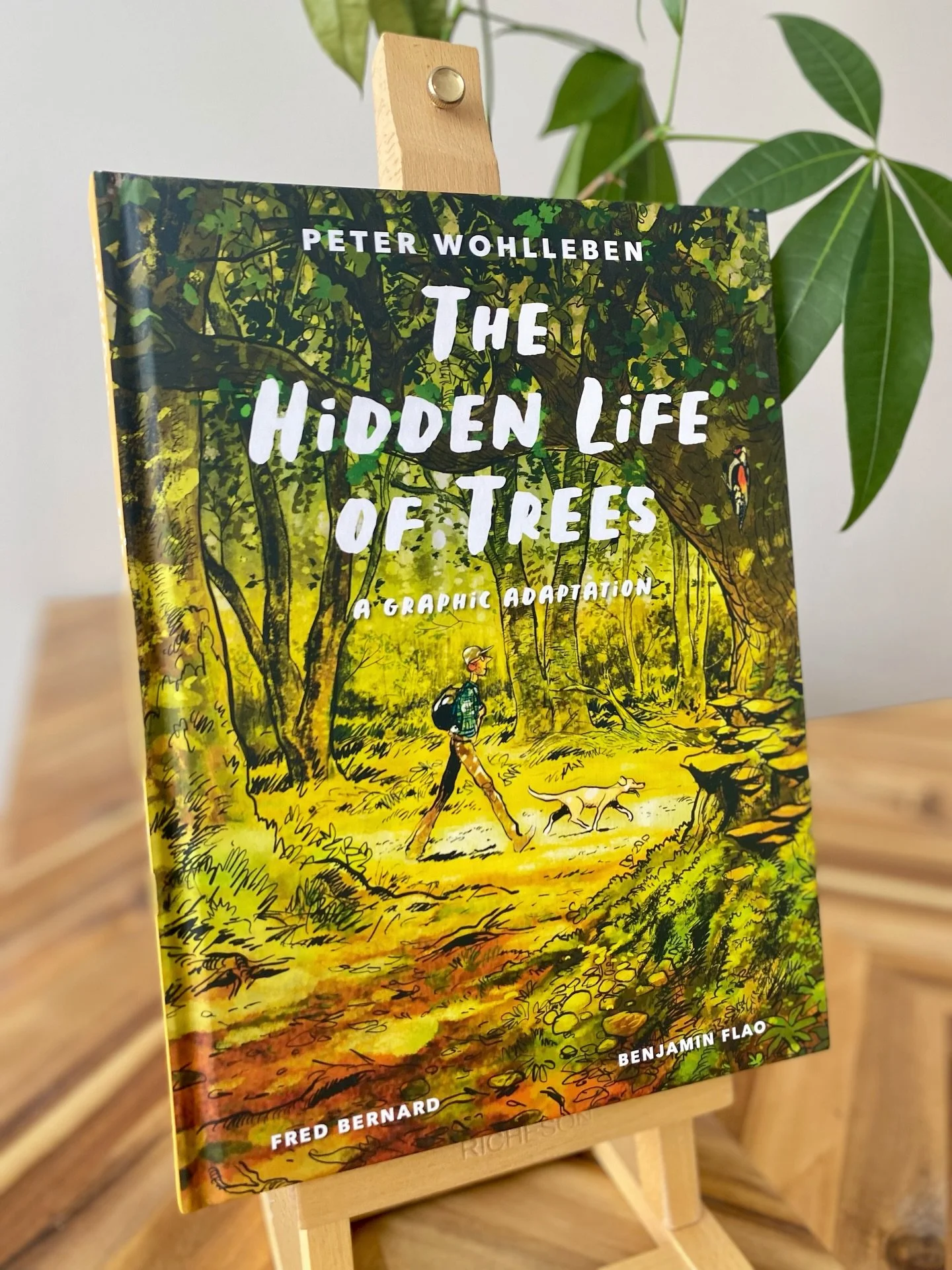 Because trees have stories too&hellip; 🌿📚
Now in store: The Hidden Life of Trees &ndash; Graphic Novel Edition. A beautifully illustrated take on the international bestseller that reveals the secret lives of forests.